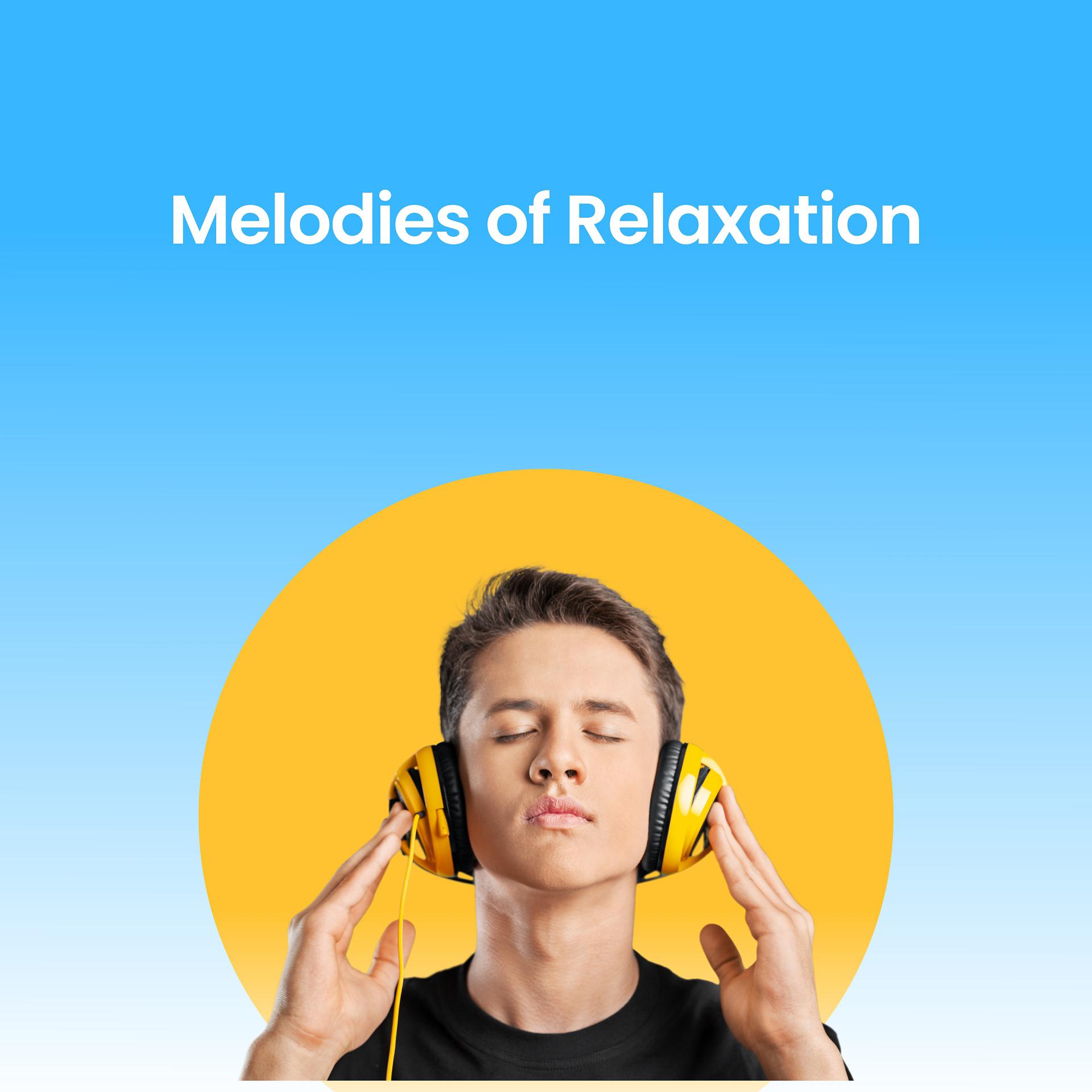 Постер альбома Melodies of Relaxation