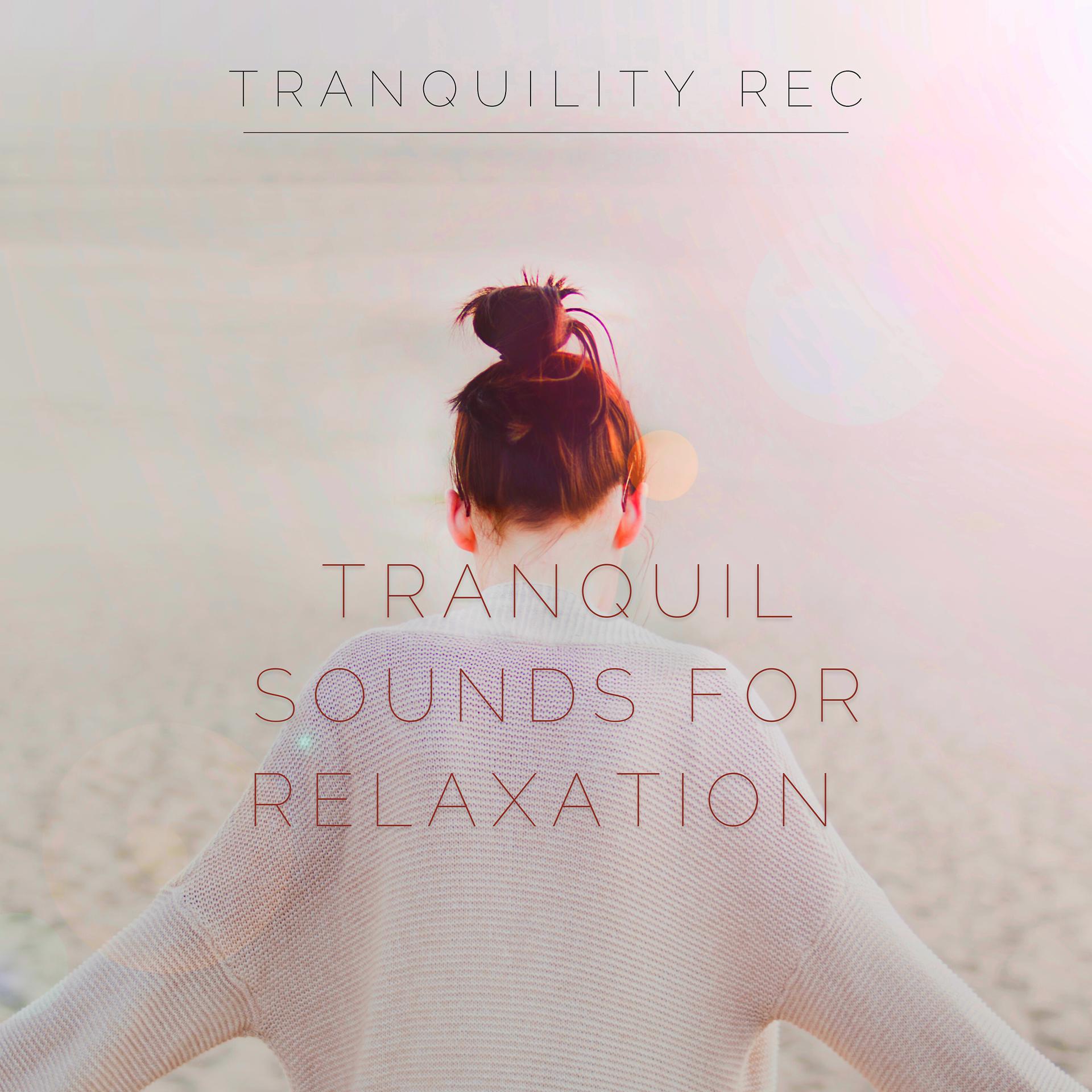 Постер альбома Tranquil Sounds for Relaxation