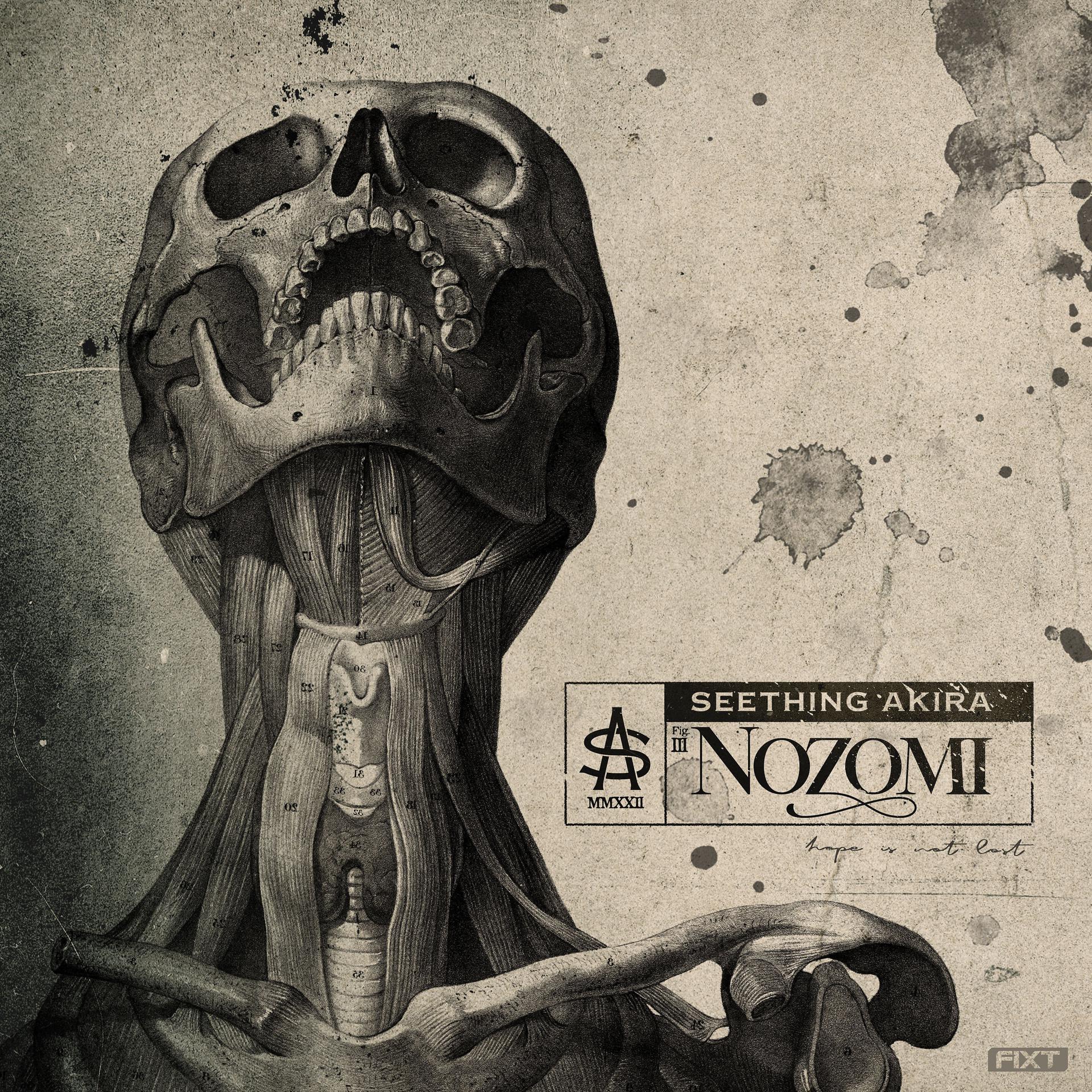 Постер альбома Nozomi