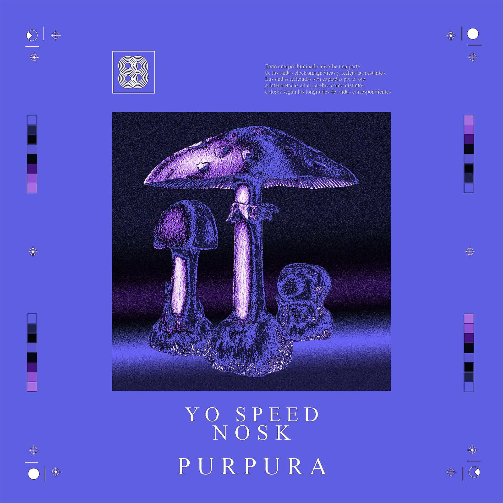 Постер альбома Purpura