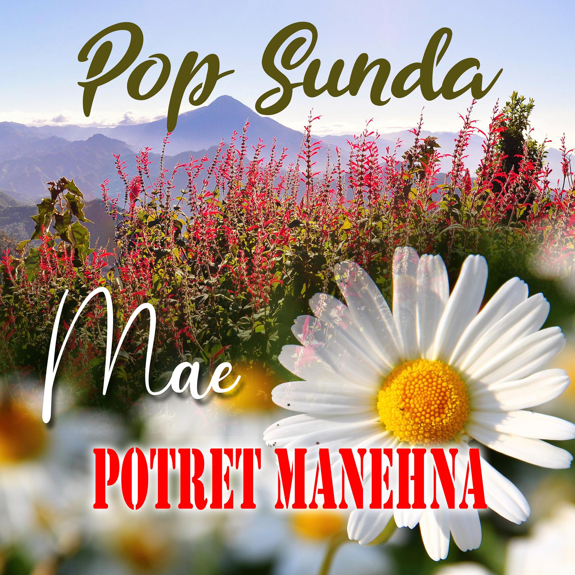 Постер альбома Potret Manehna