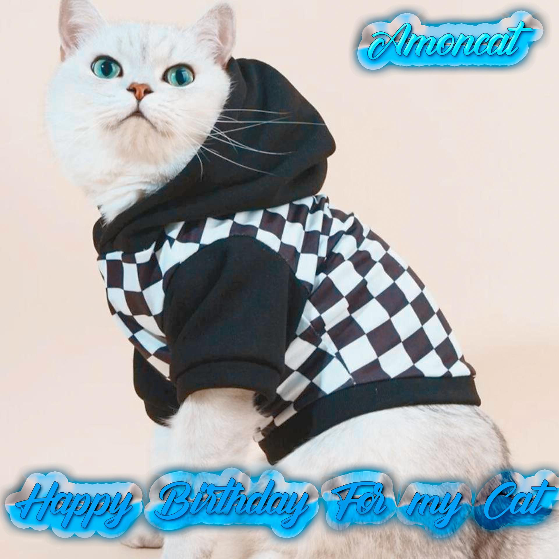 Постер альбома Happy Birthday for my cat