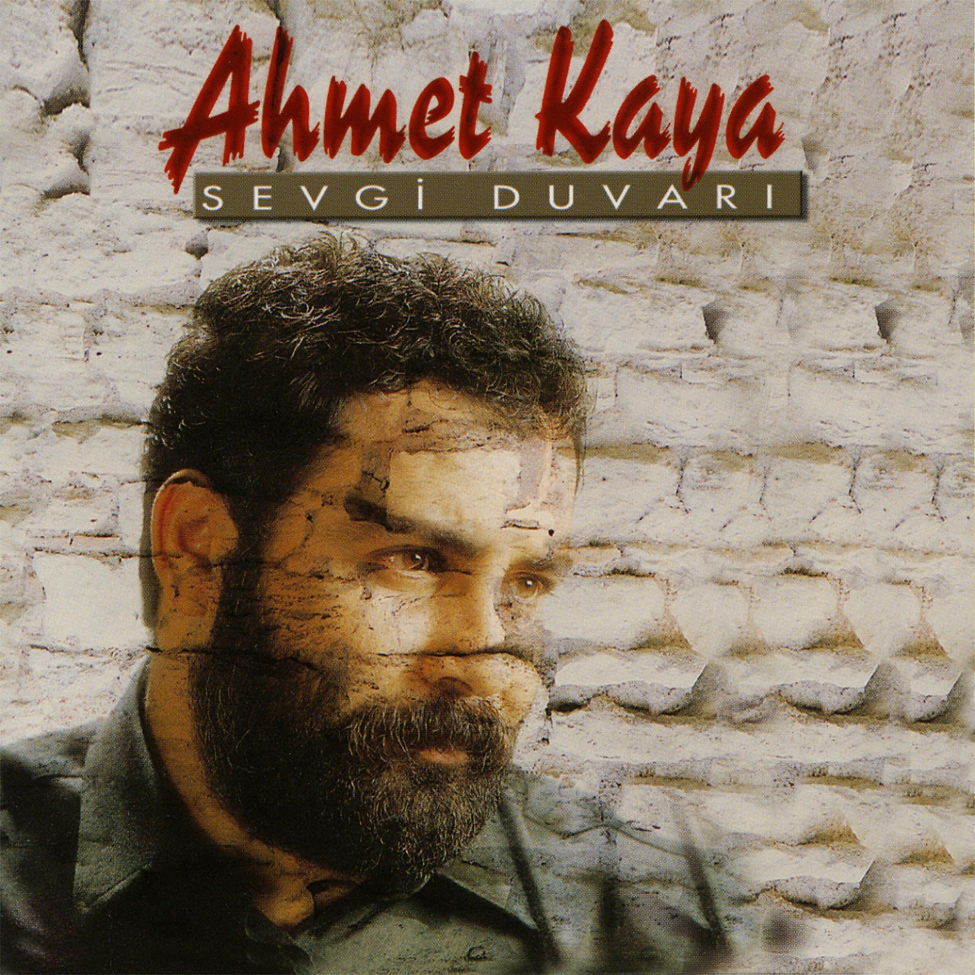 Постер альбома Sevgi Duvarı