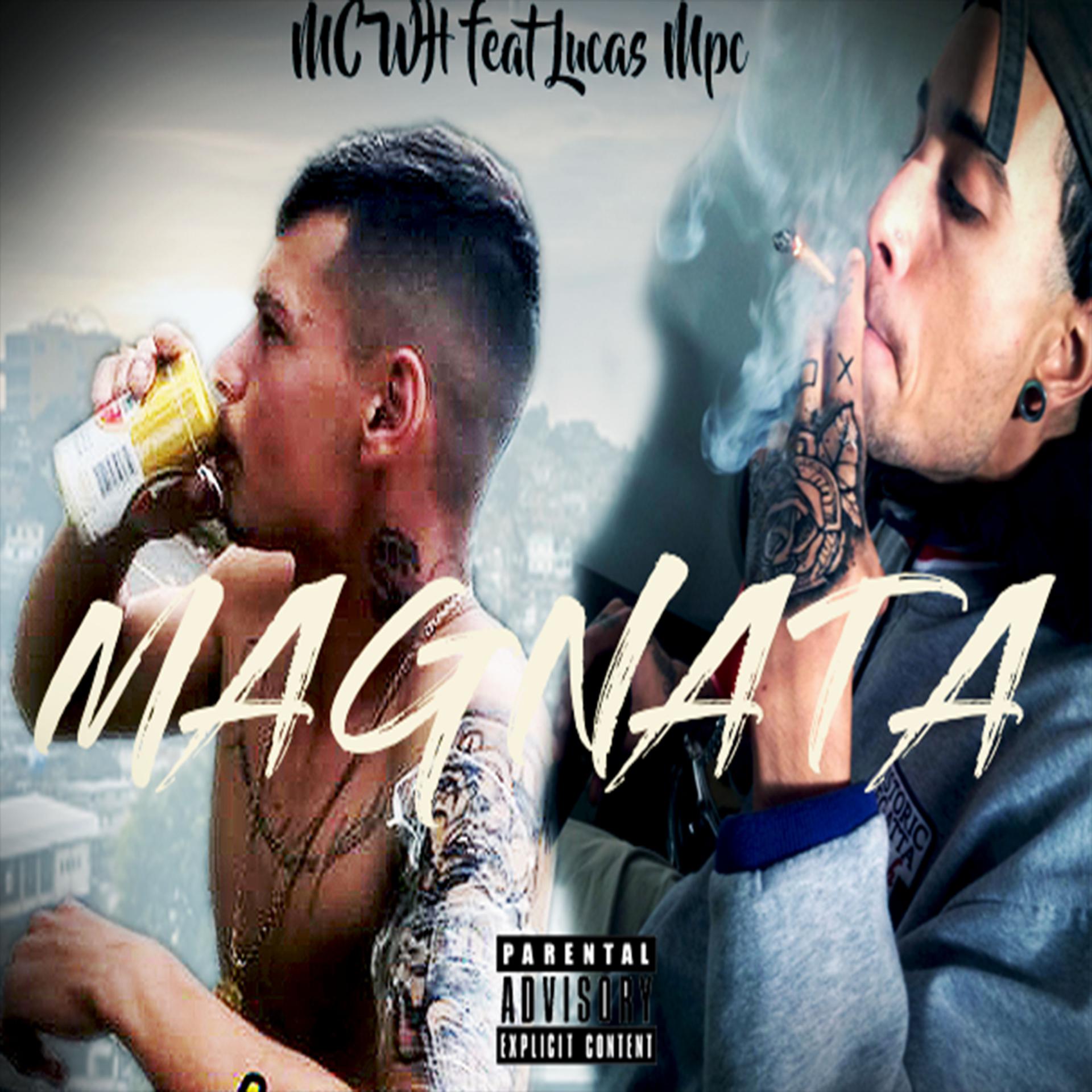 Постер альбома Magnata