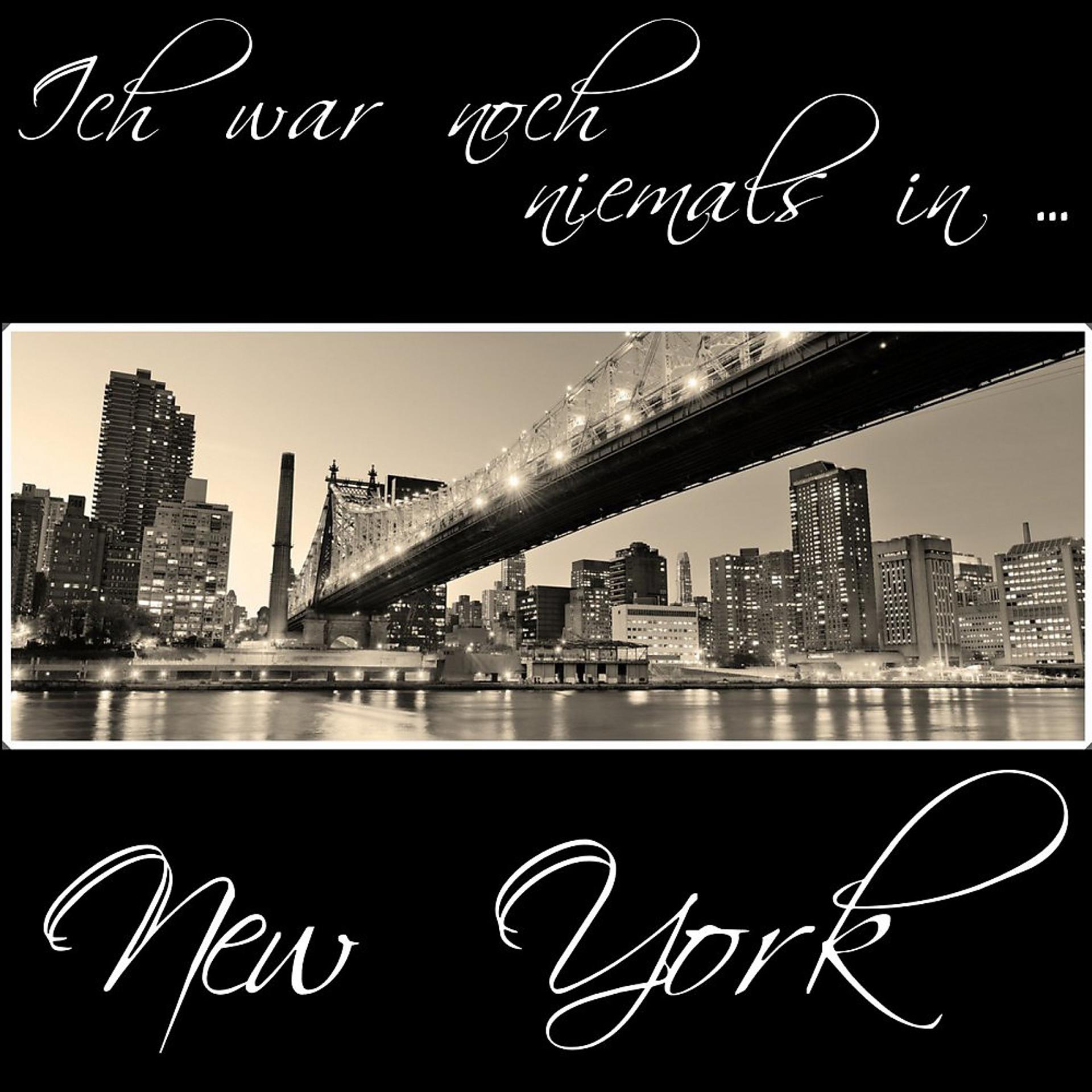 Постер альбома Ich war noch niemals in New York