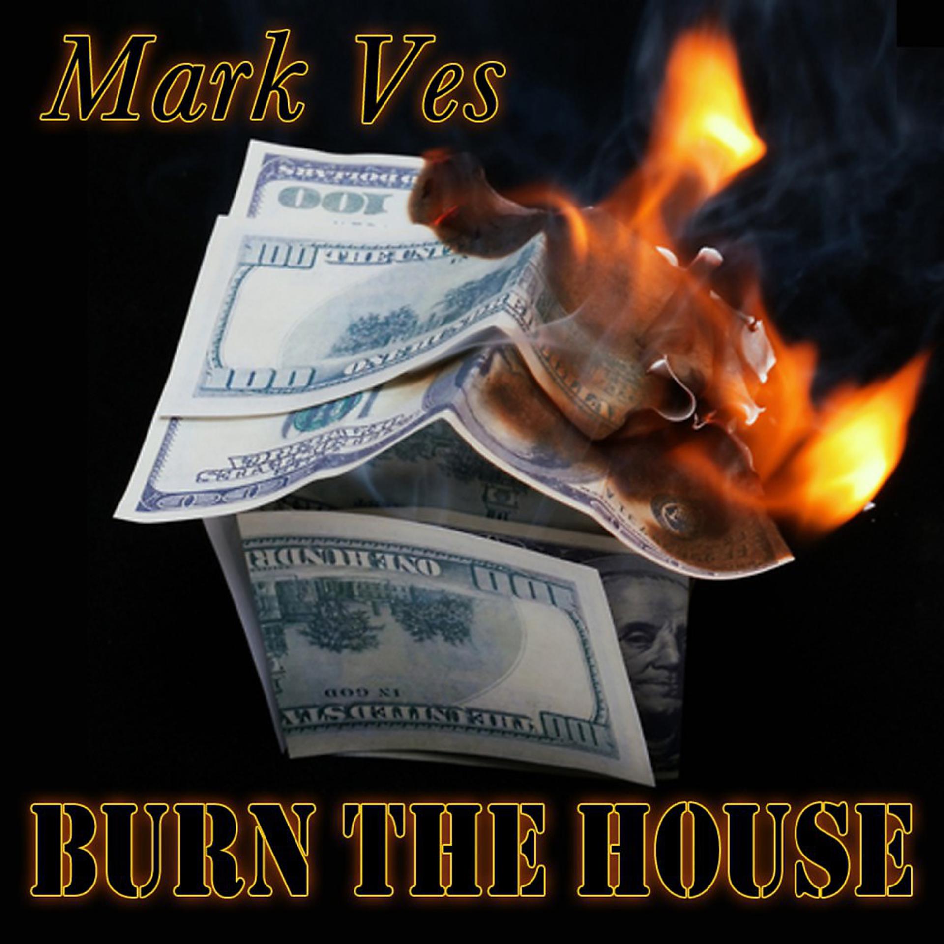 Постер альбома Burn the House
