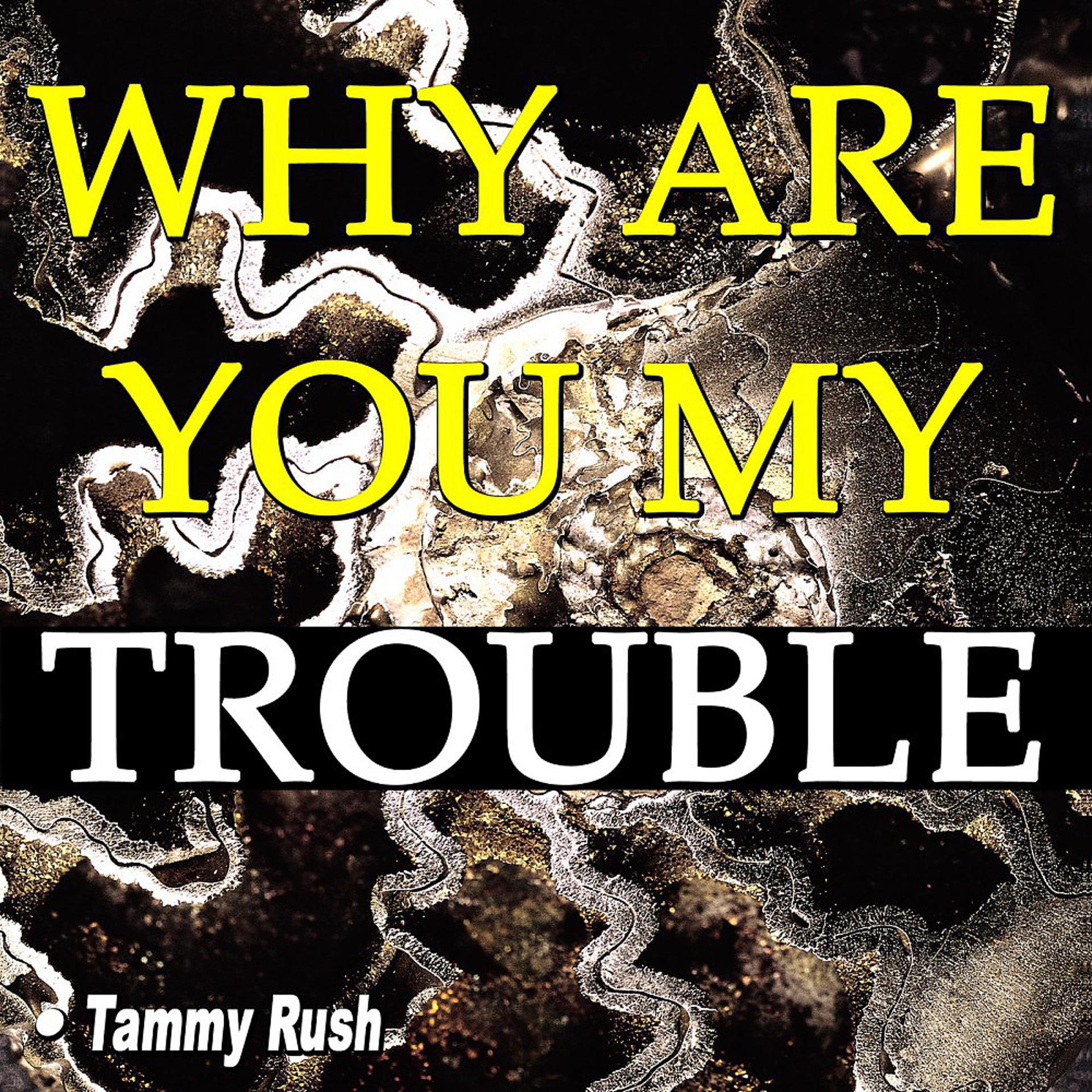 Постер альбома Why Are You My Trouble