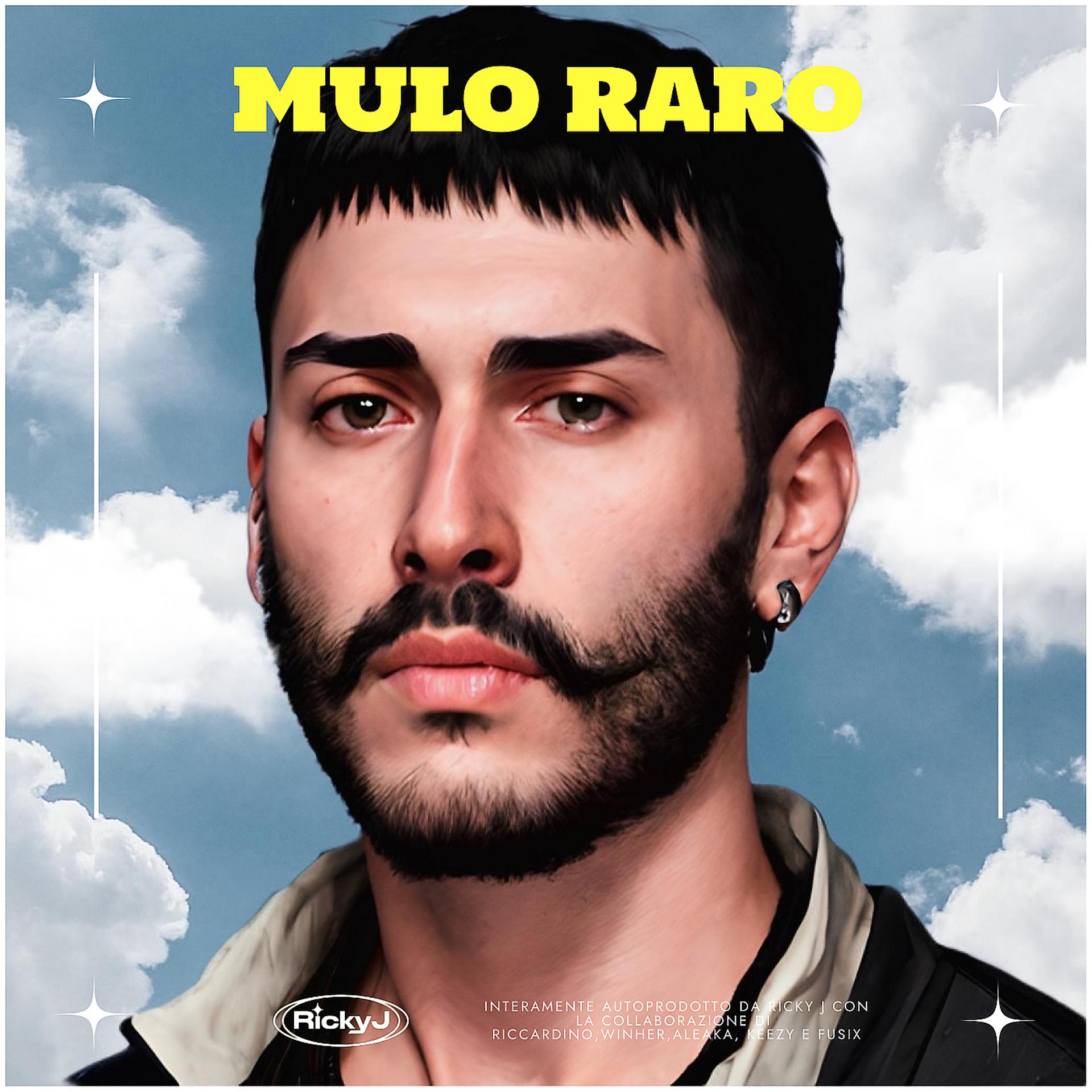 Постер альбома Mulo Raro