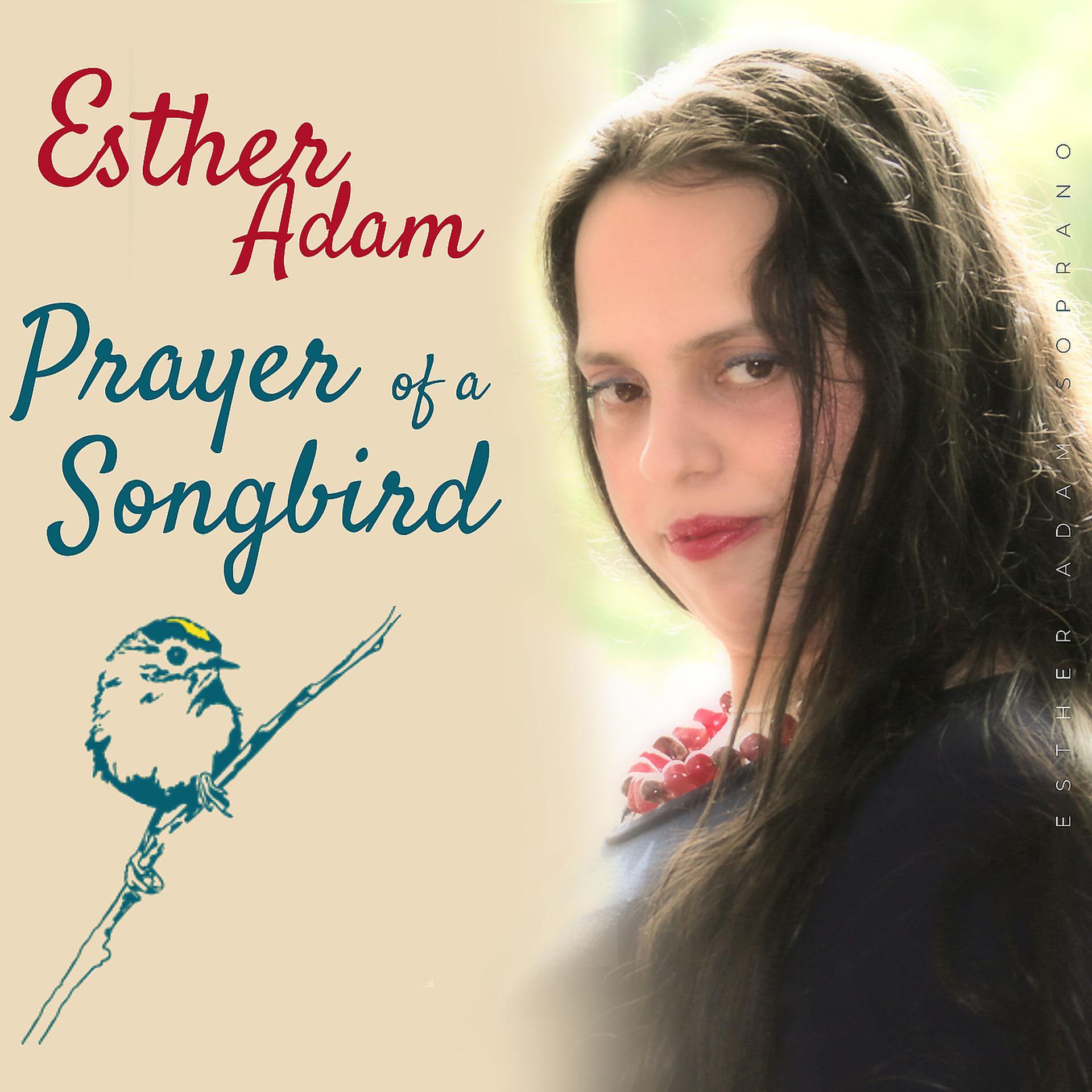 Постер альбома Prayer of a Songbird