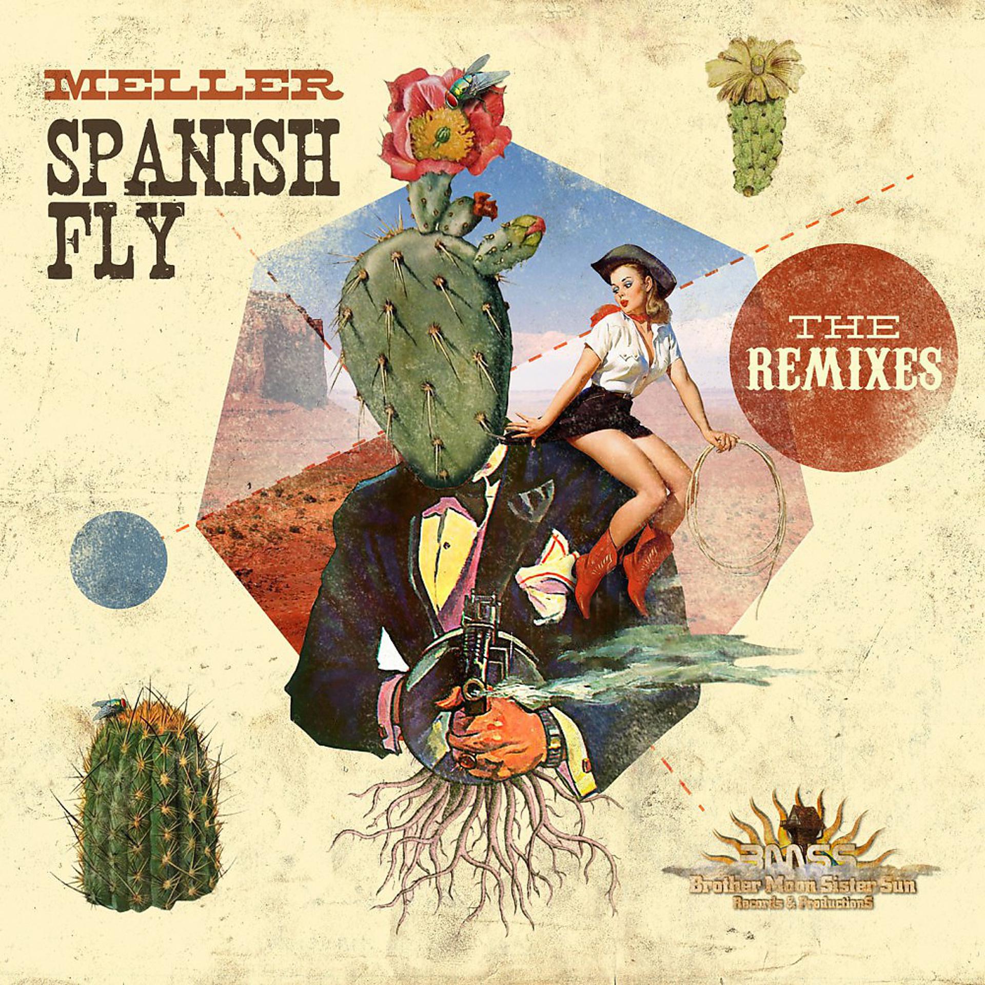 Постер альбома Spanish Fly - The Remixes