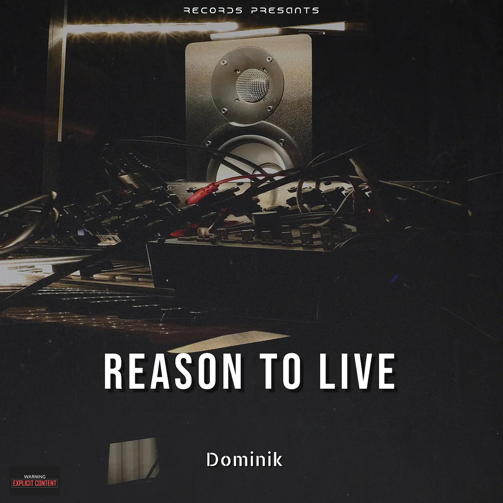 Постер альбома Reason to Live