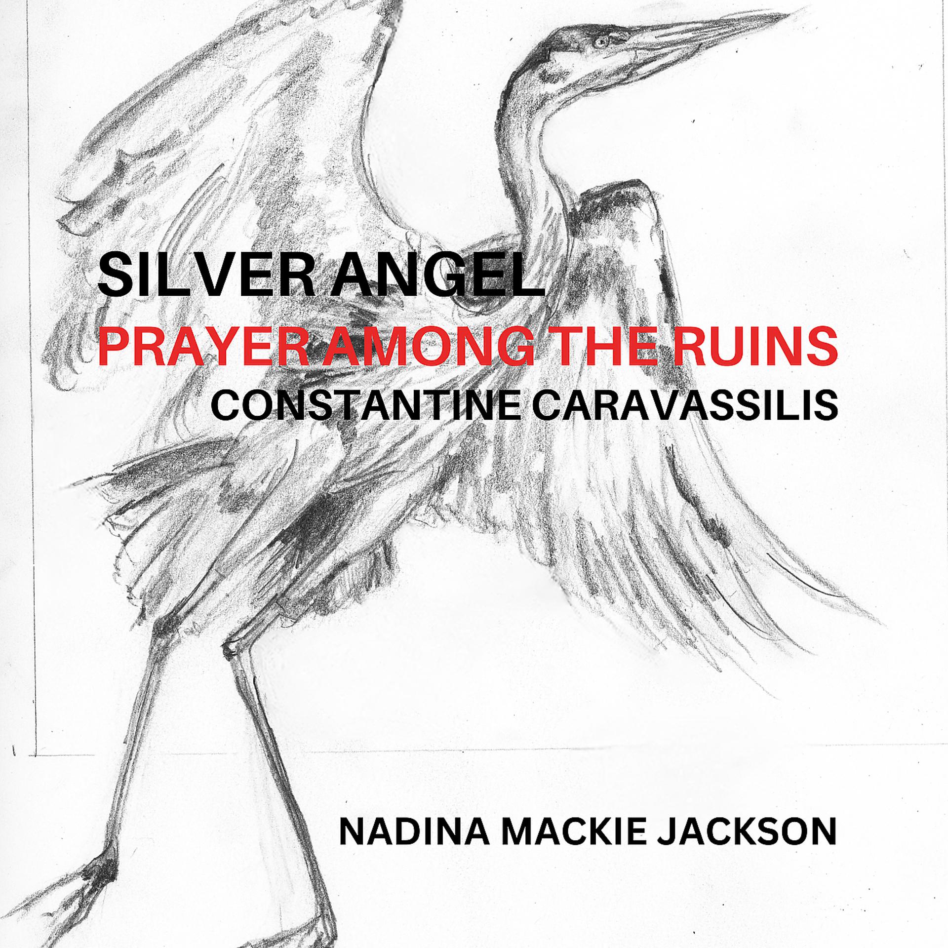Постер альбома Silver Angel Prayer Among the Ruins