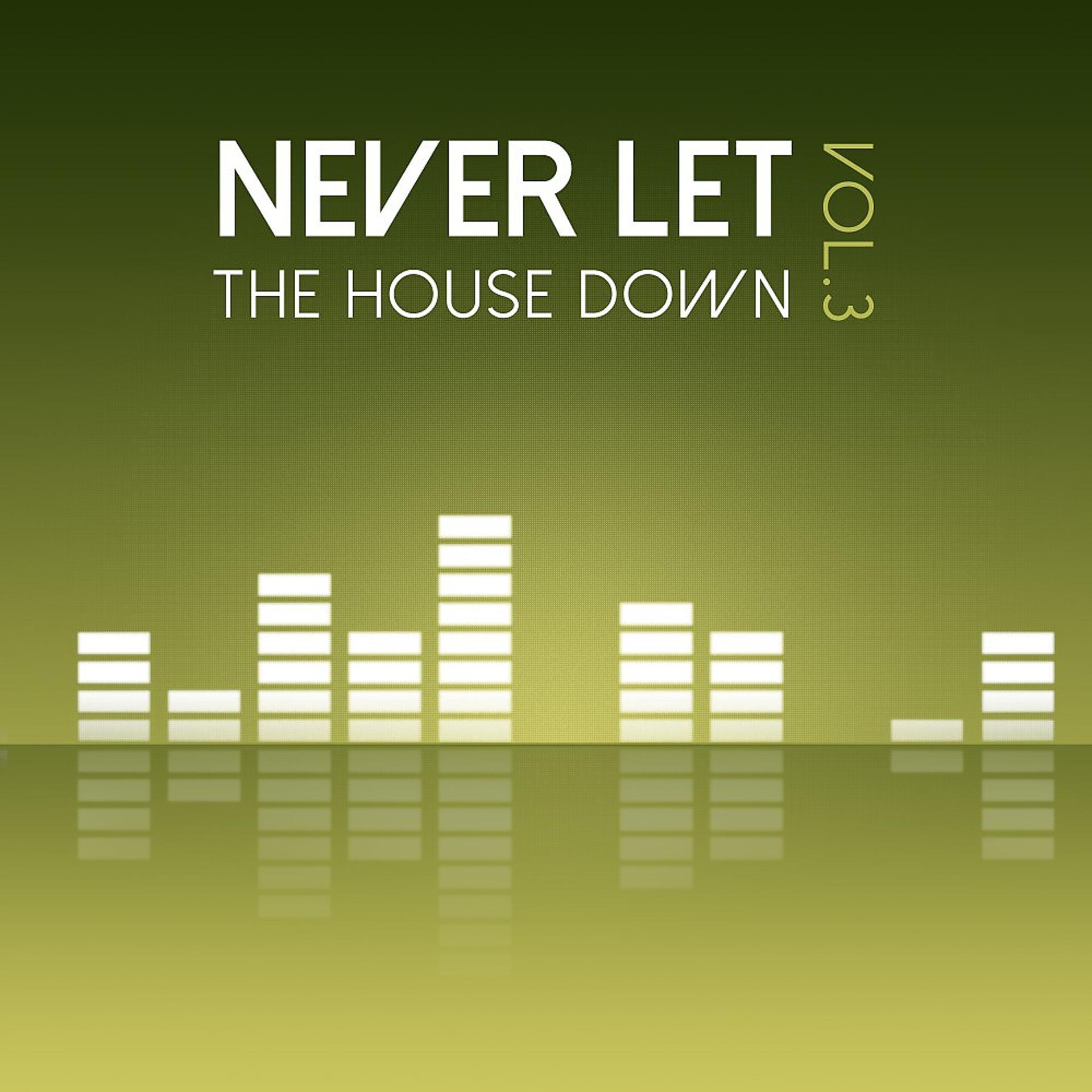 Постер альбома Never Let the House Down, Vol. 3