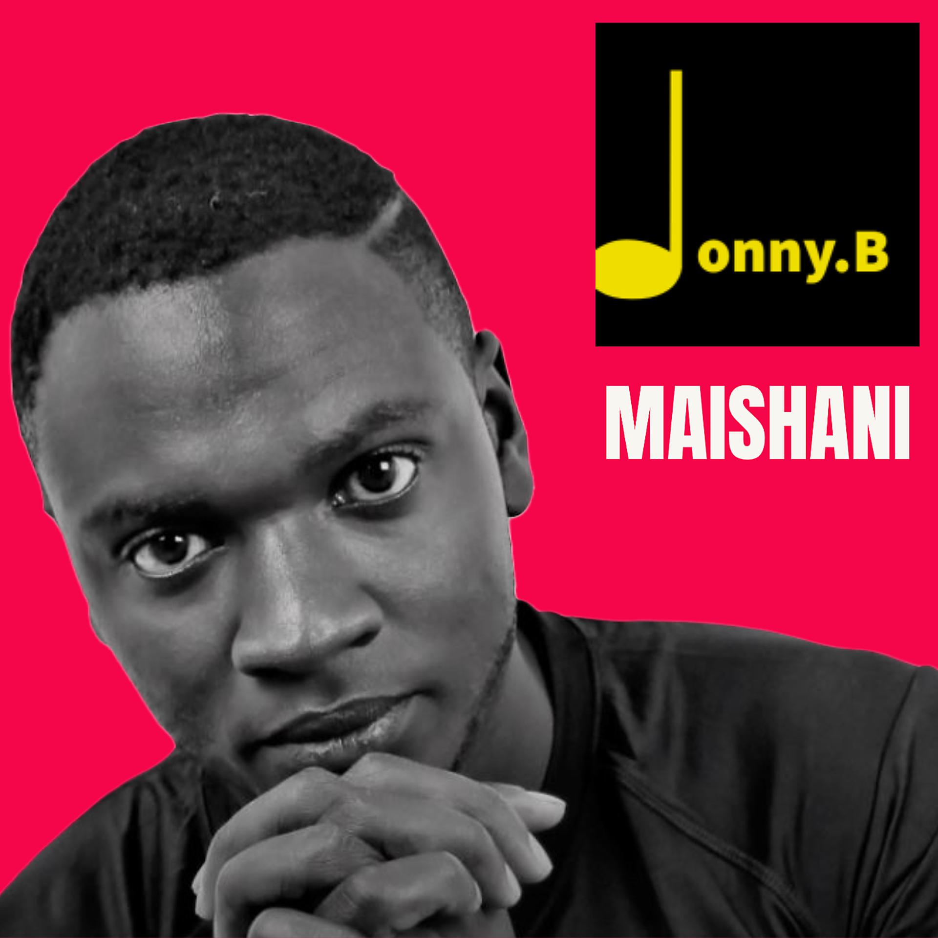 Постер альбома Maishani