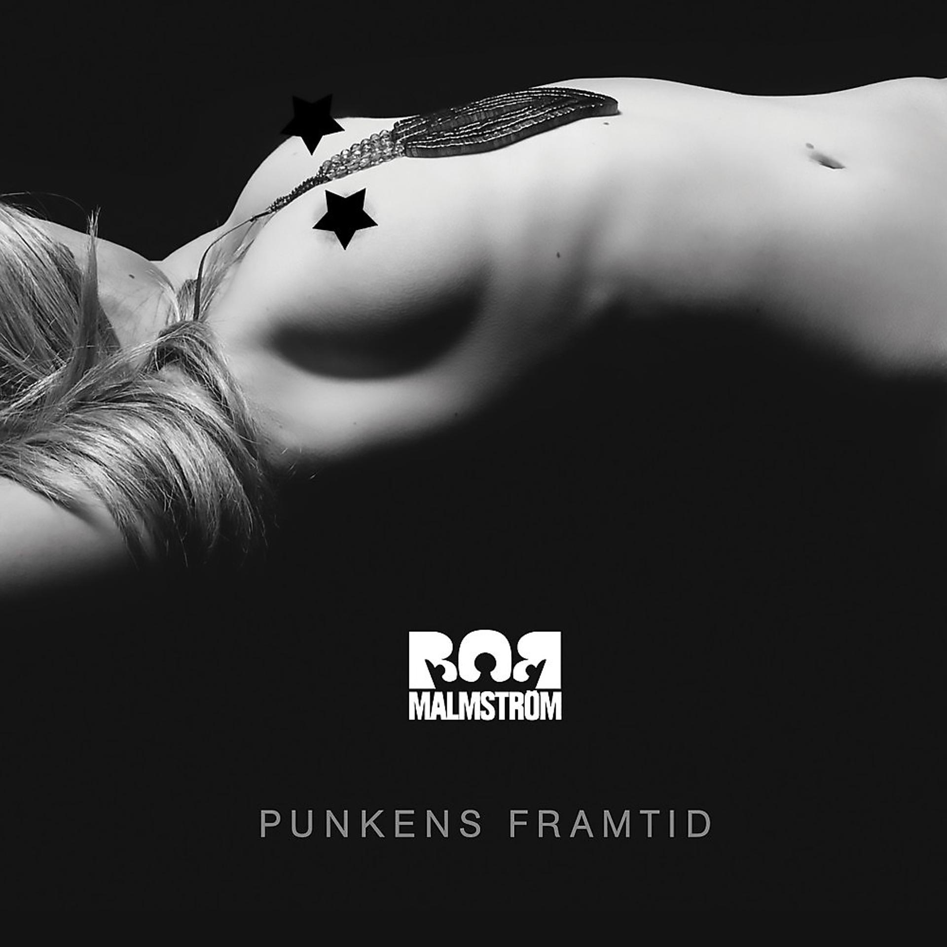 Постер альбома Punkens framtid