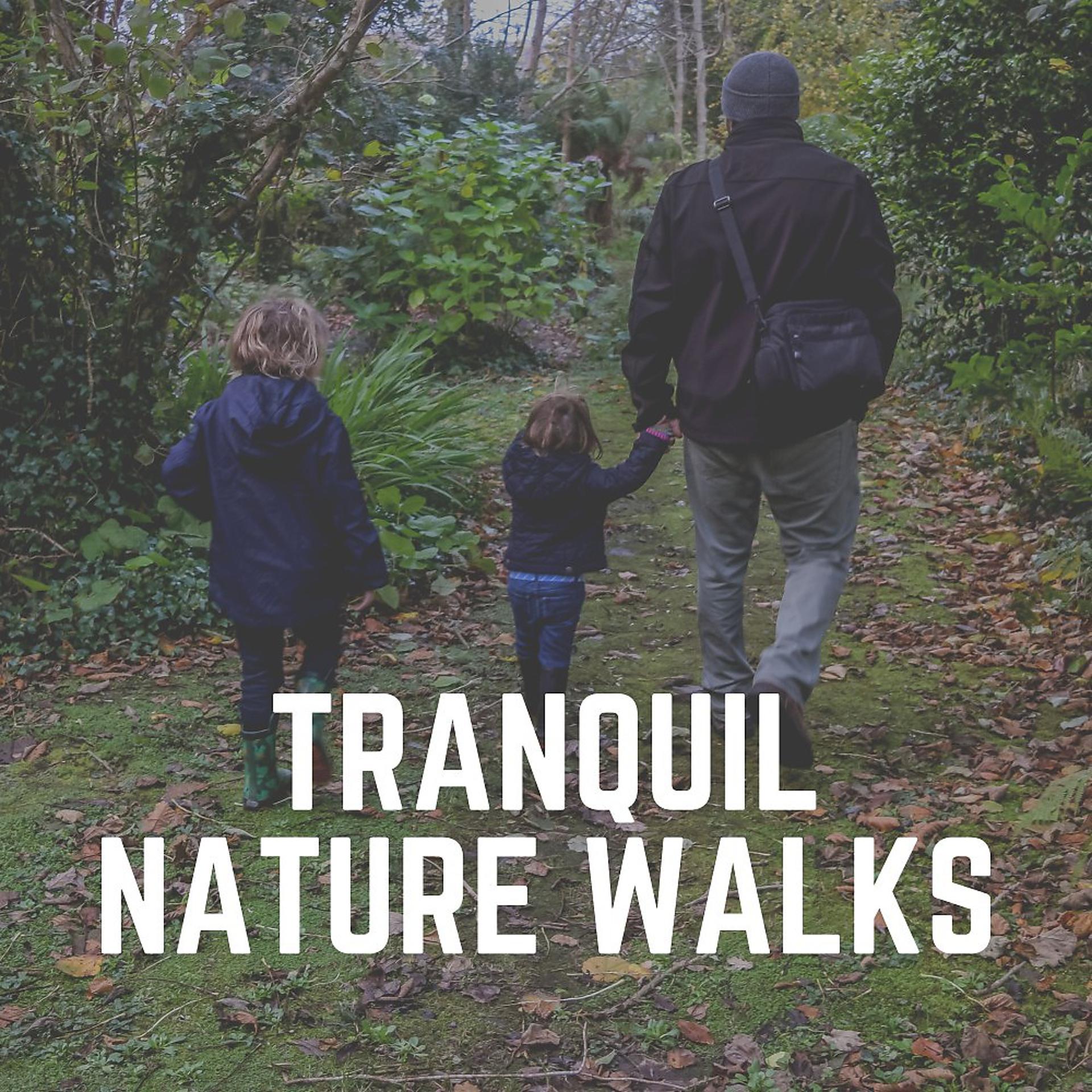 Постер альбома Tranquil Nature Walks
