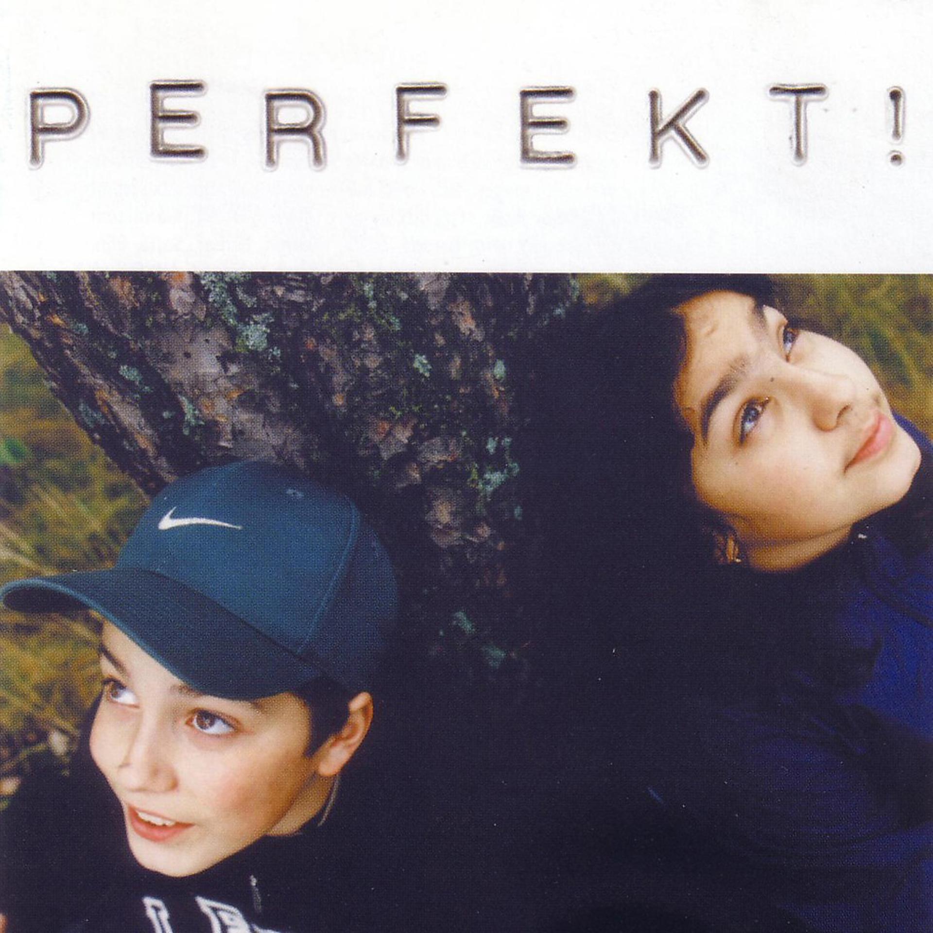 Постер альбома Perfekt!