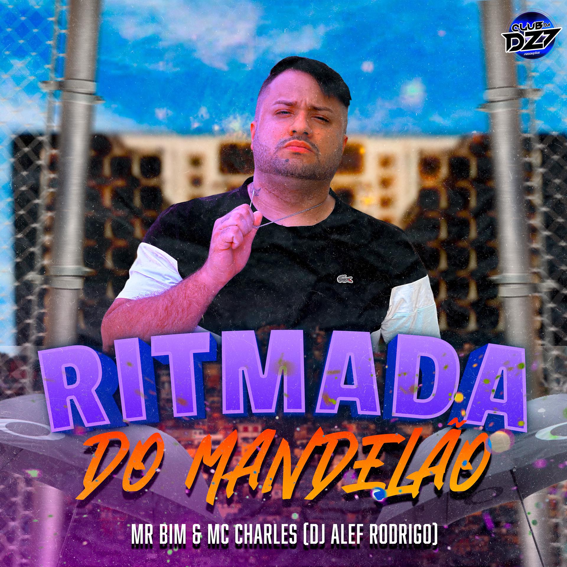 Постер альбома RITMADA DO MANDELÃO