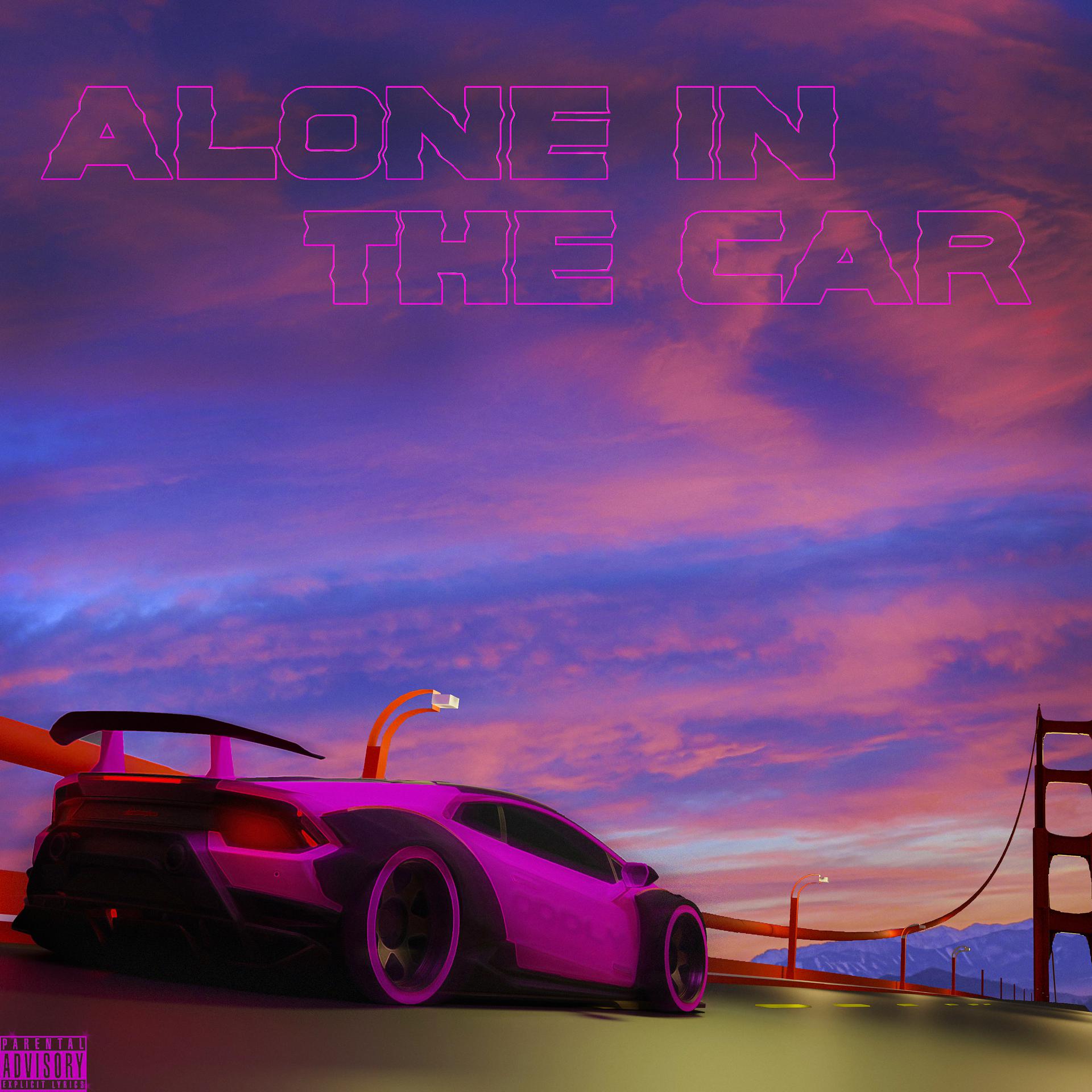 Постер альбома Alone In The Car
