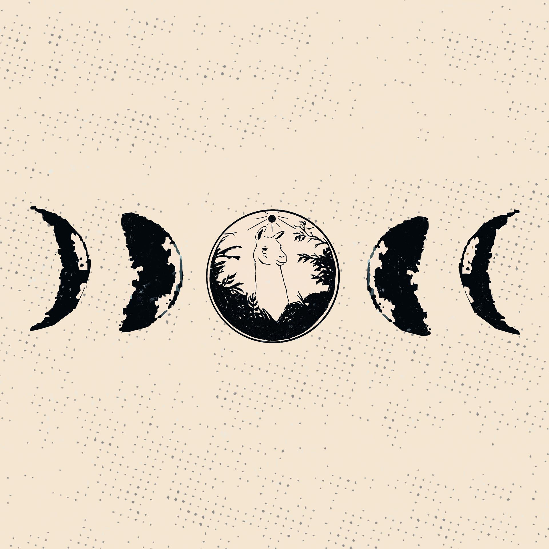 Постер альбома Llama Moon