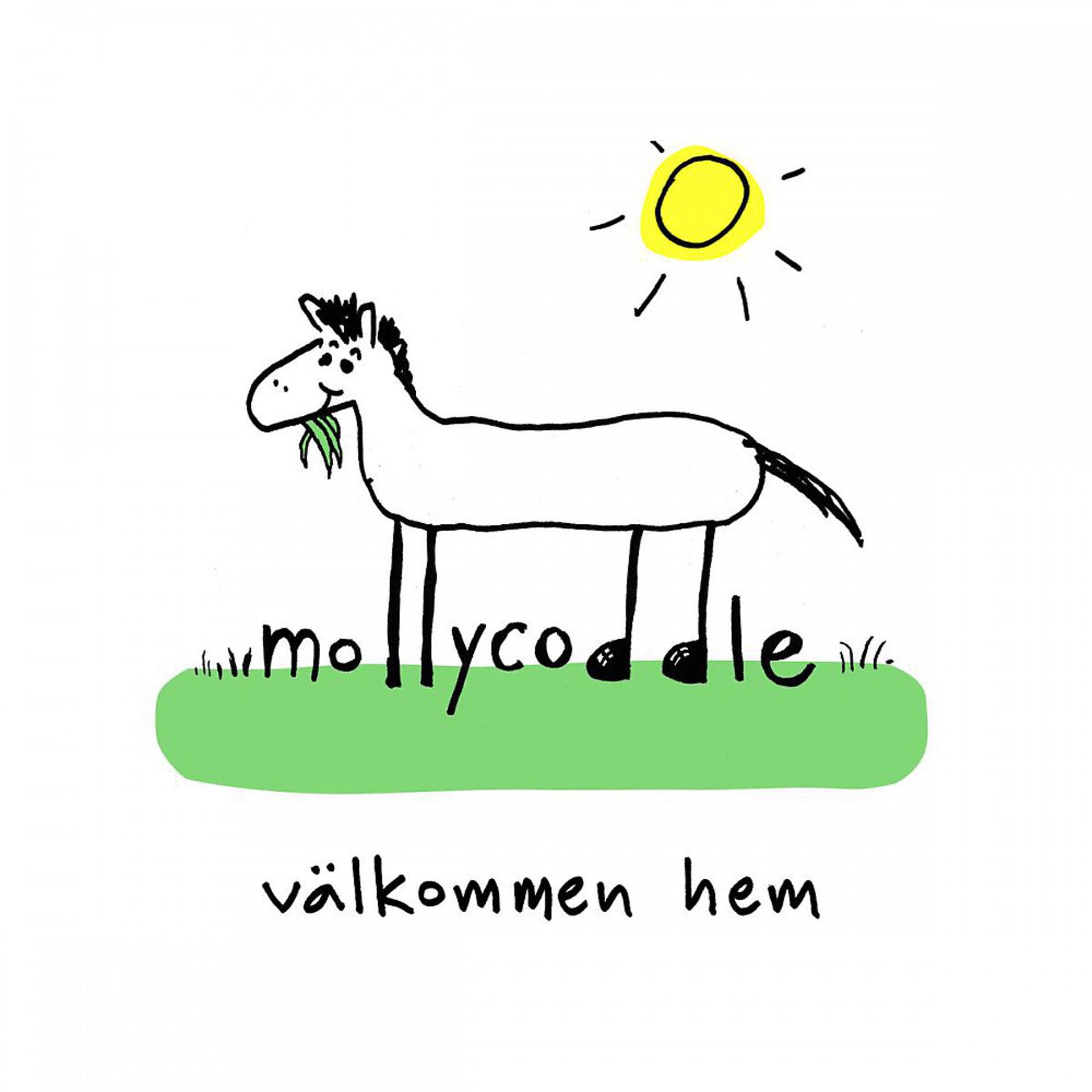 Постер альбома Välkommen hem