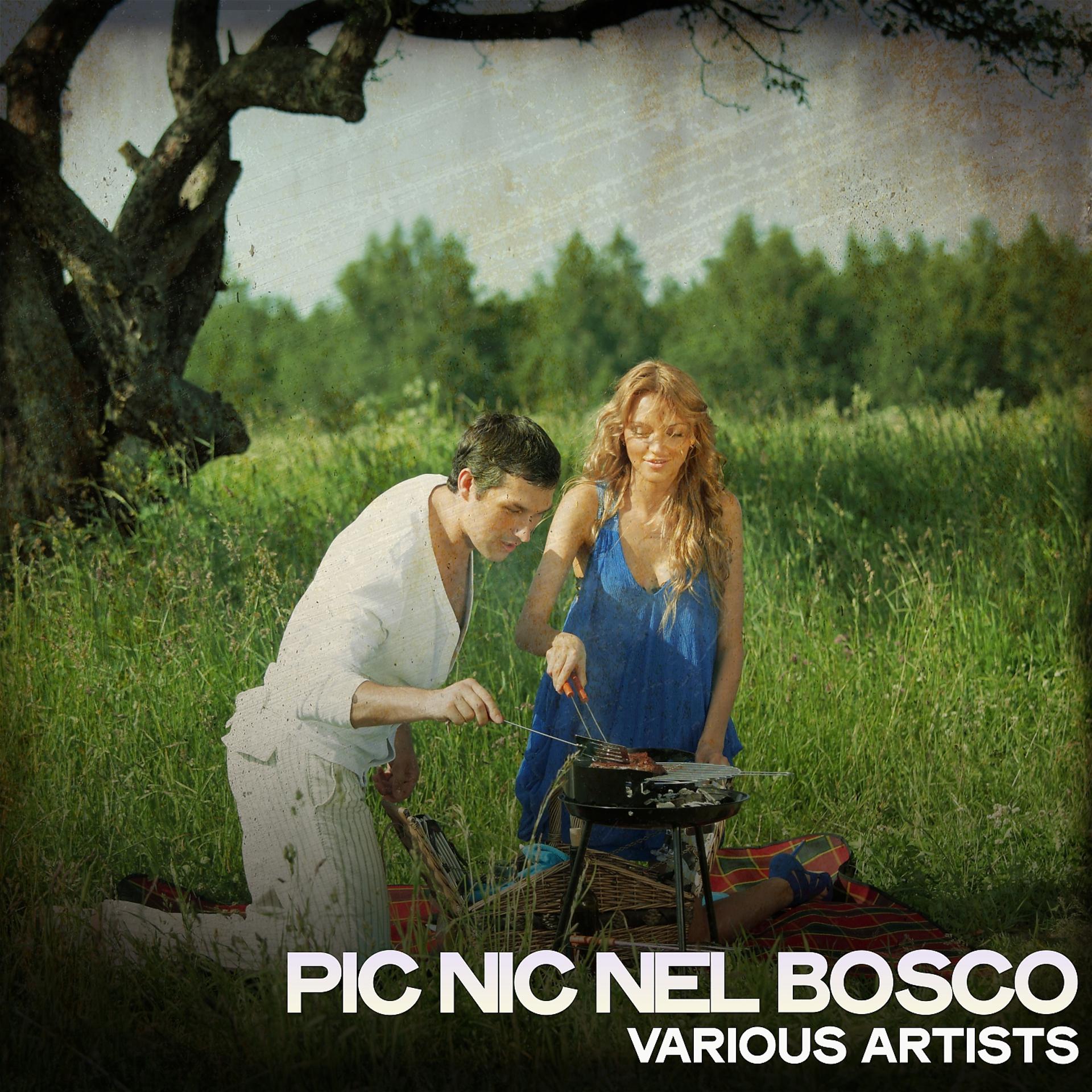 Постер альбома Pic nic nel bosco