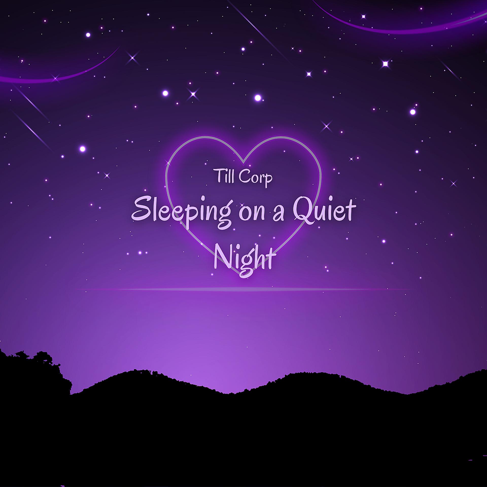Постер альбома Sleeping on a Quiet Night