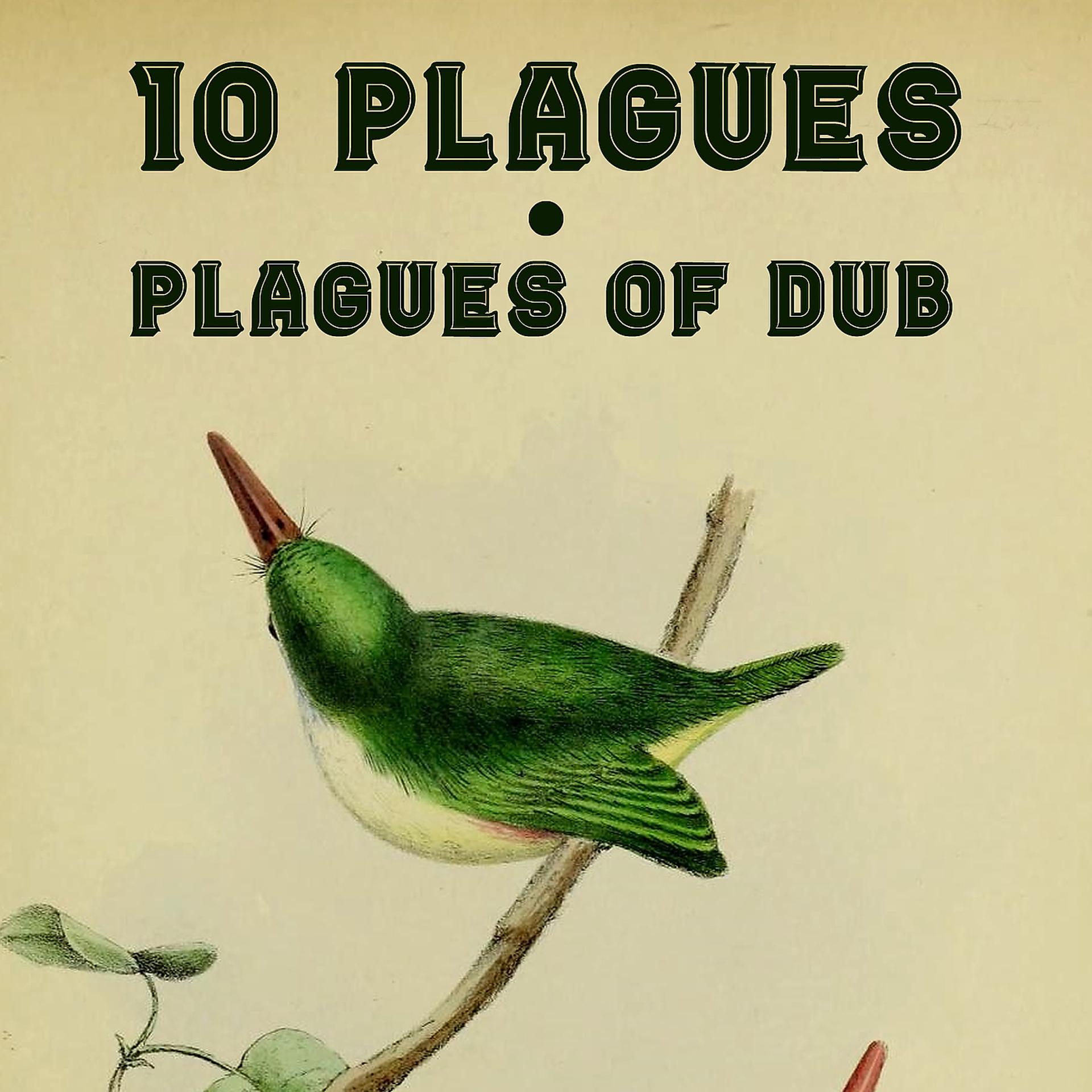 Постер альбома 10 Plagues / Plagues of Dub