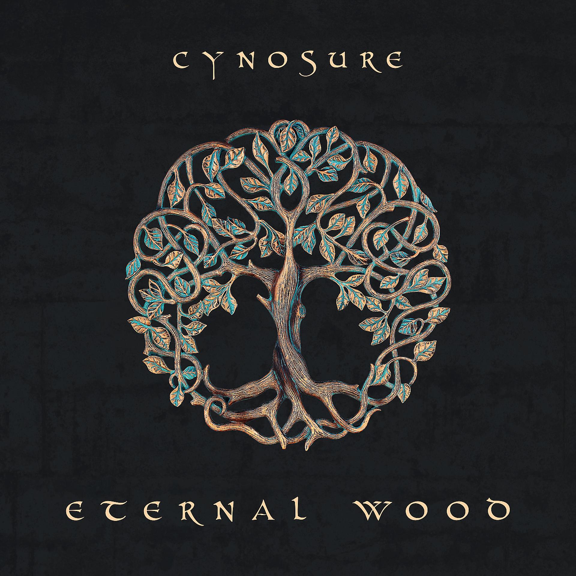 Постер альбома Eternal Wood