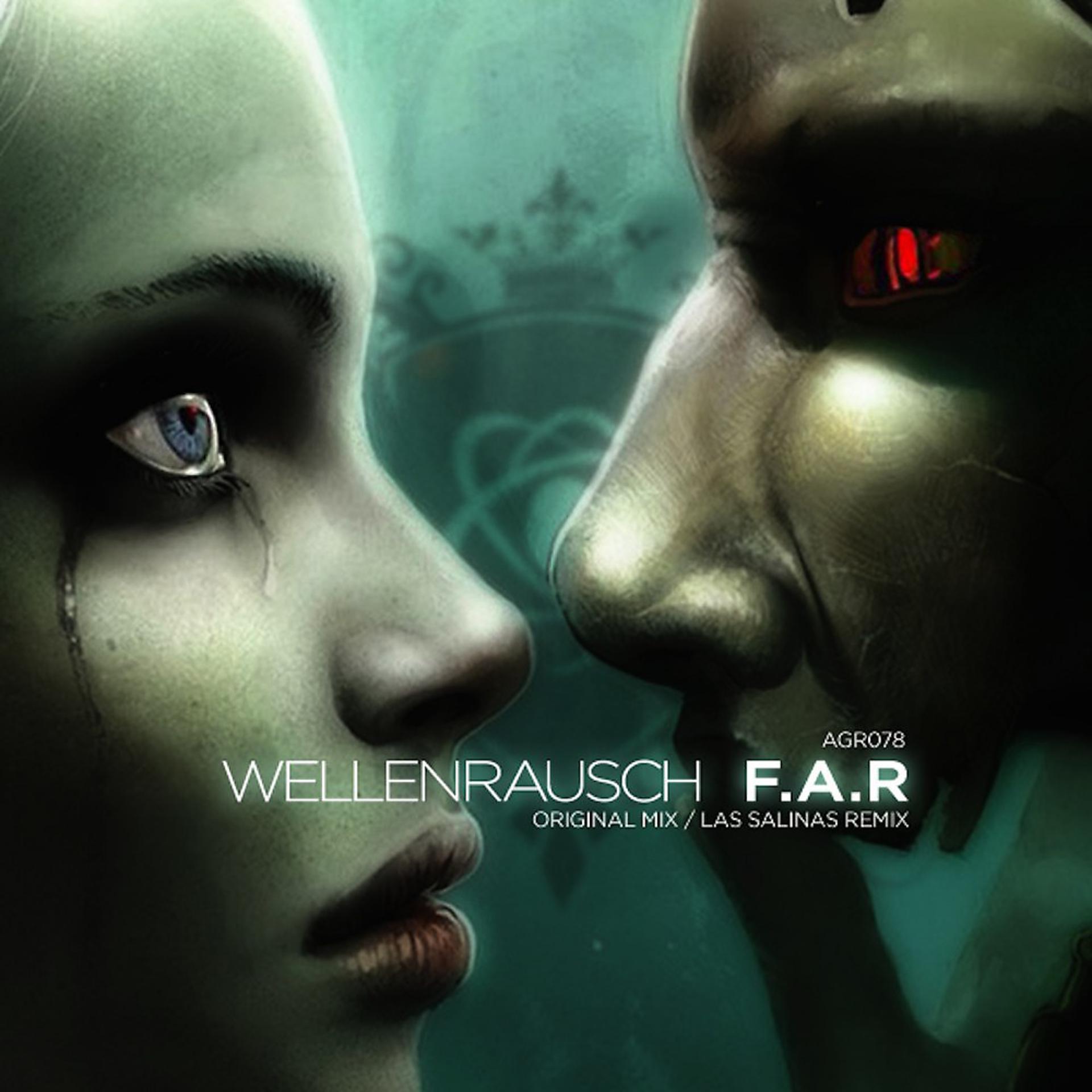 Постер альбома Wellenrausch