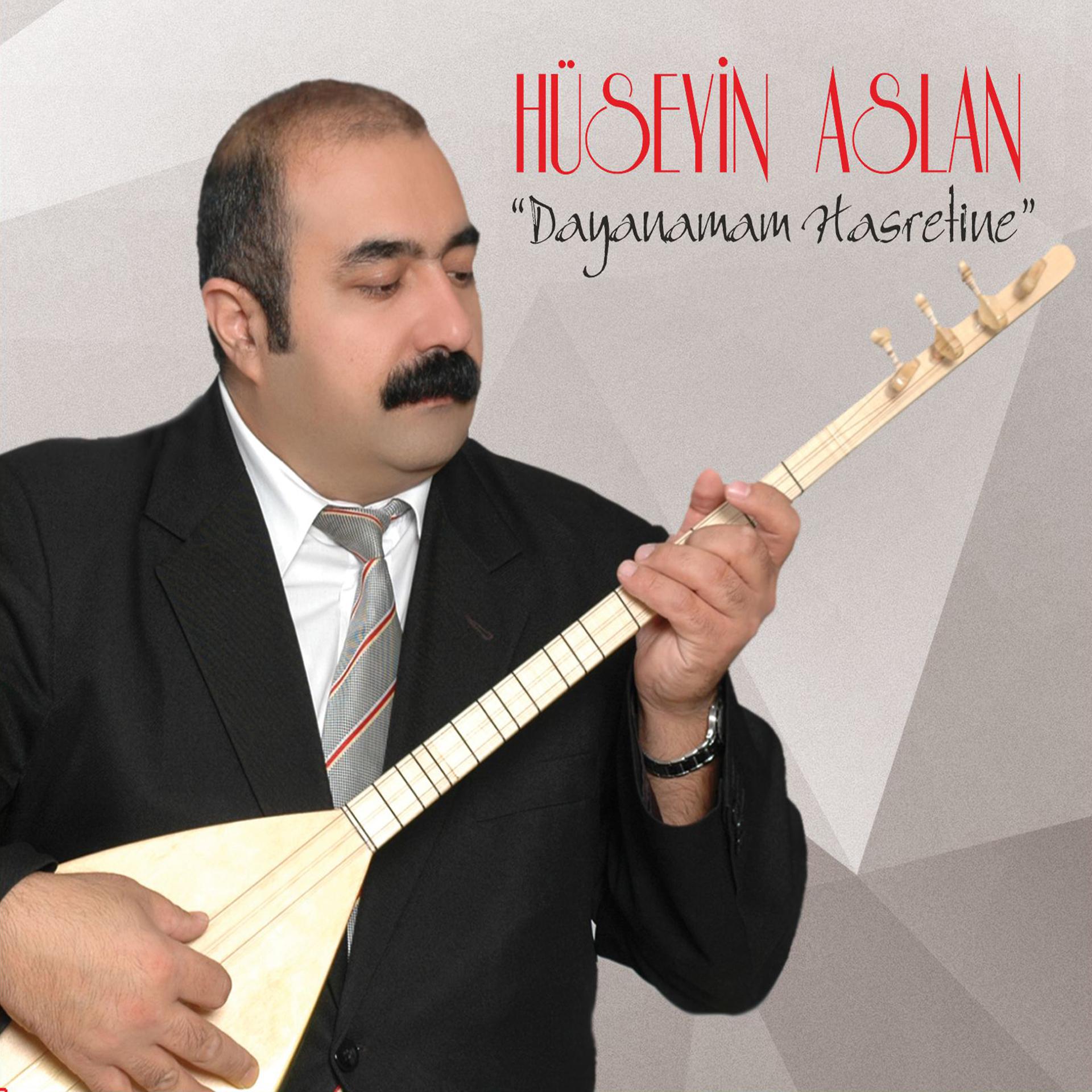 Постер альбома Dayanamam Hasretine