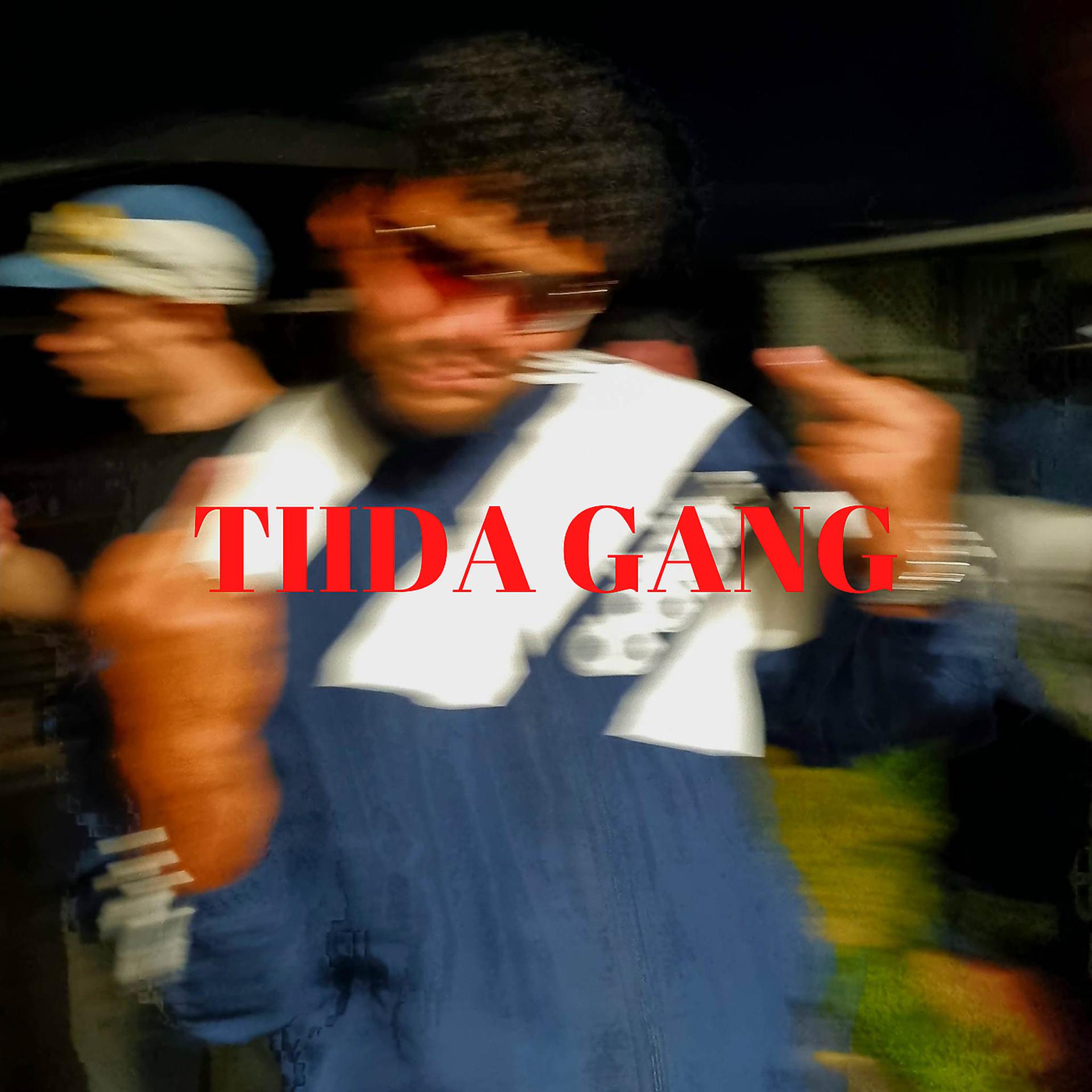 Постер альбома Tiida Gang