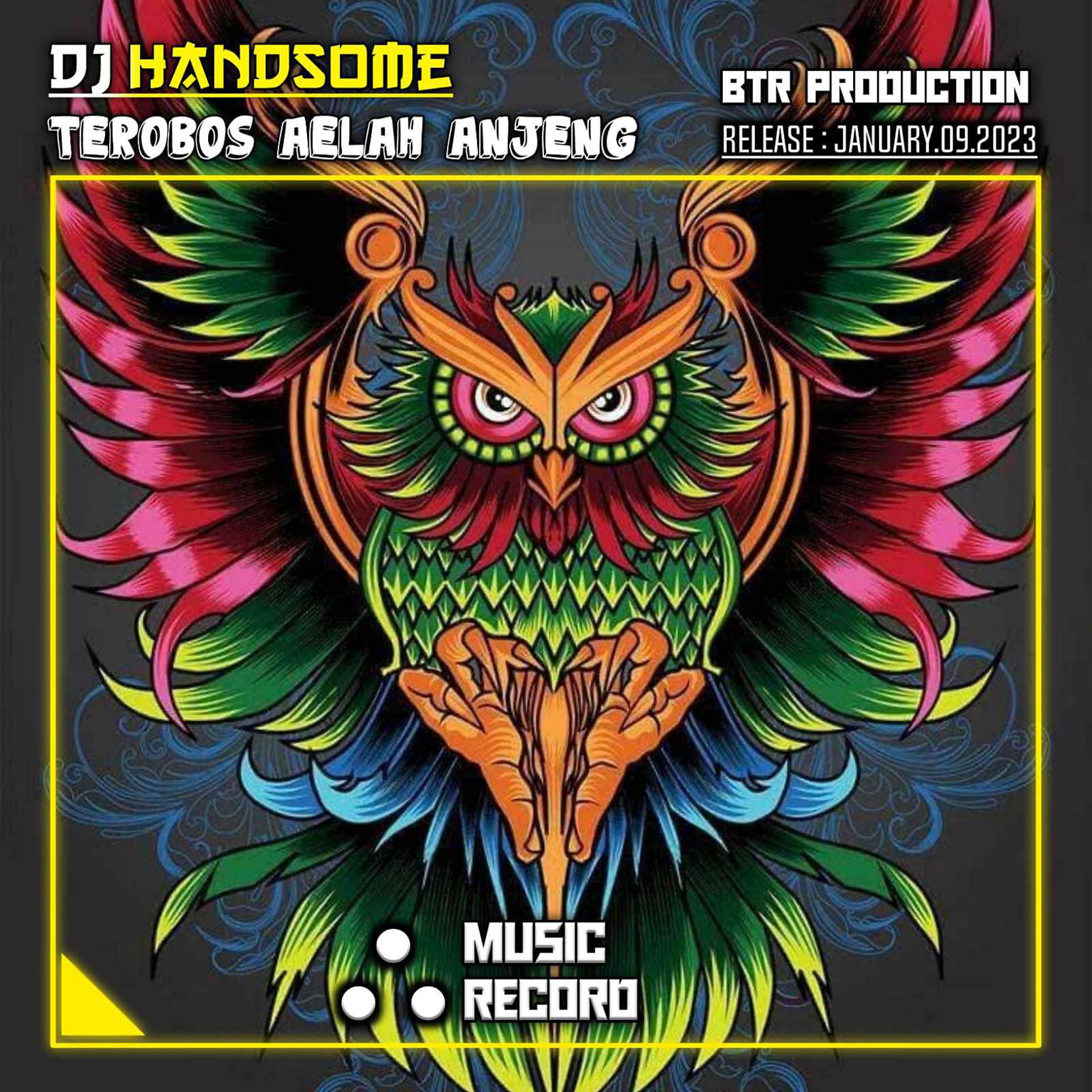 Постер альбома DJ HANDSOME