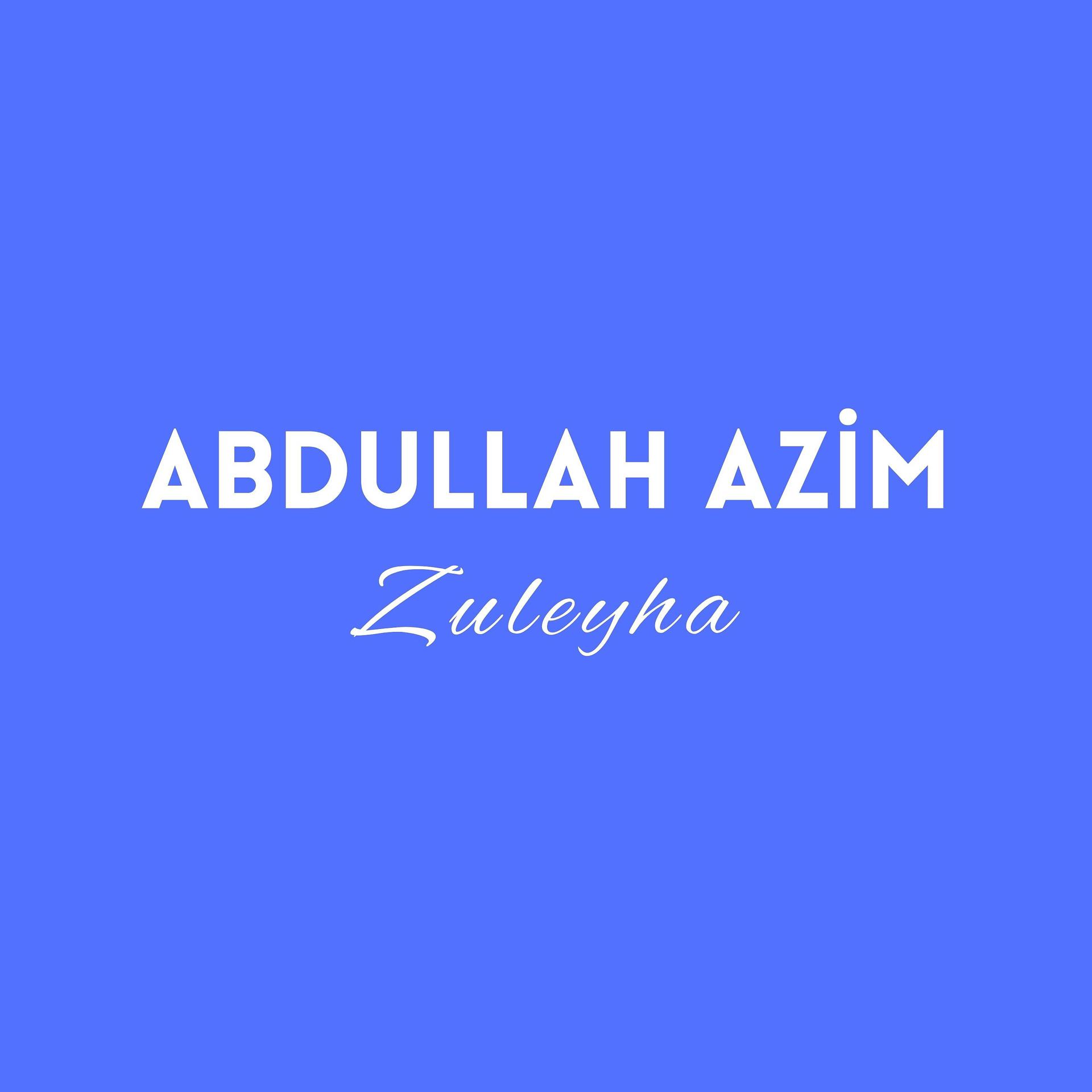 Постер альбома Zuleyha