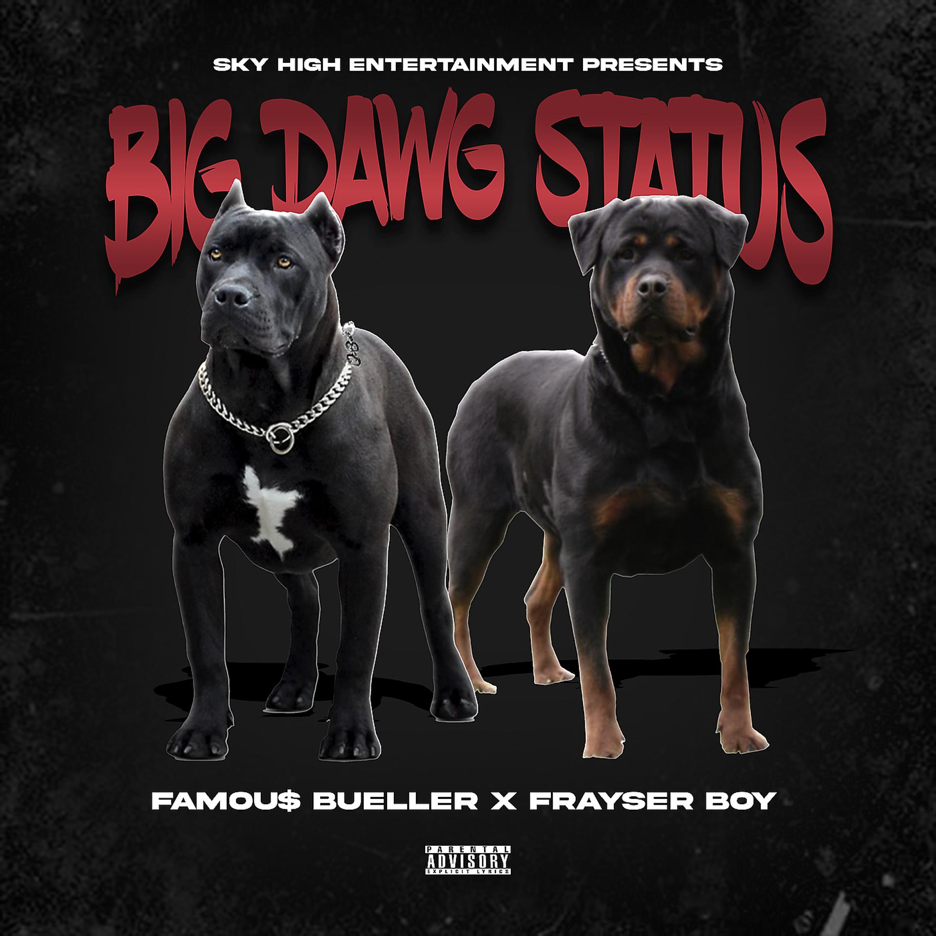 Постер альбома Big Dawg Status