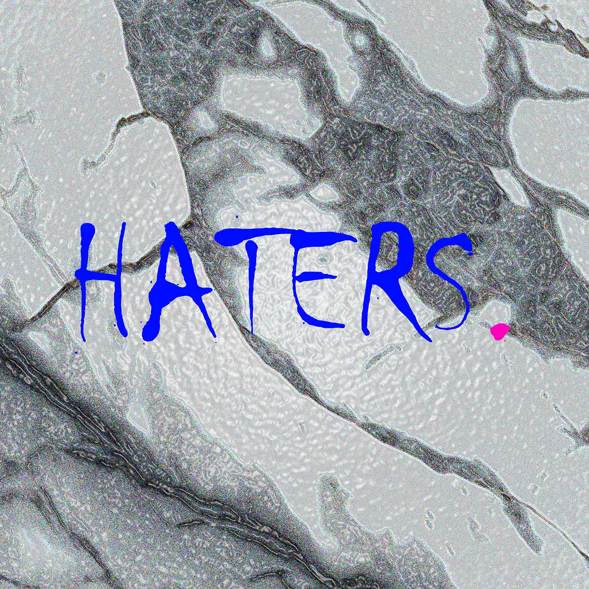 Постер альбома Haters.