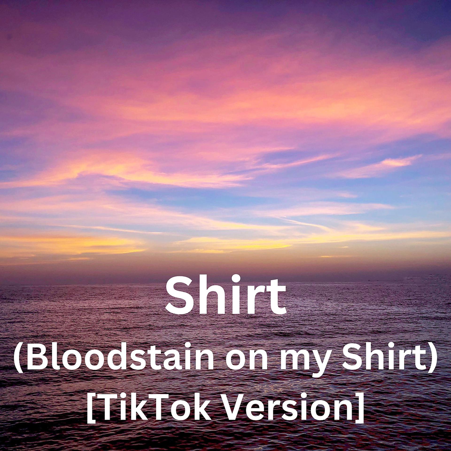 Постер альбома Shirt (Bloodstain on my Shirt) [TikTok Version]