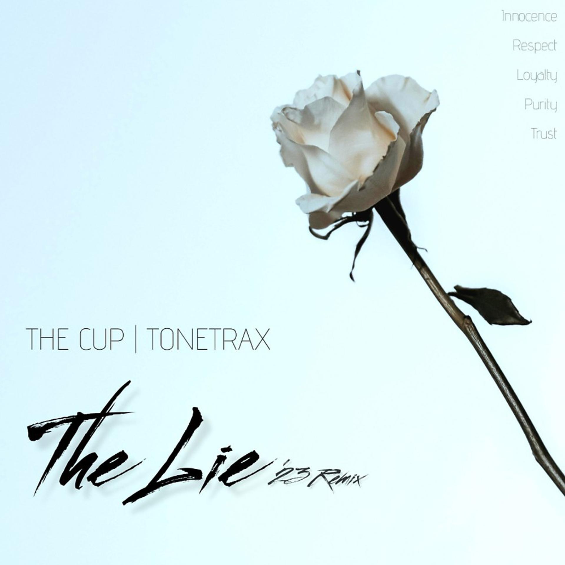 Постер альбома The Lie ('23 House Remix)