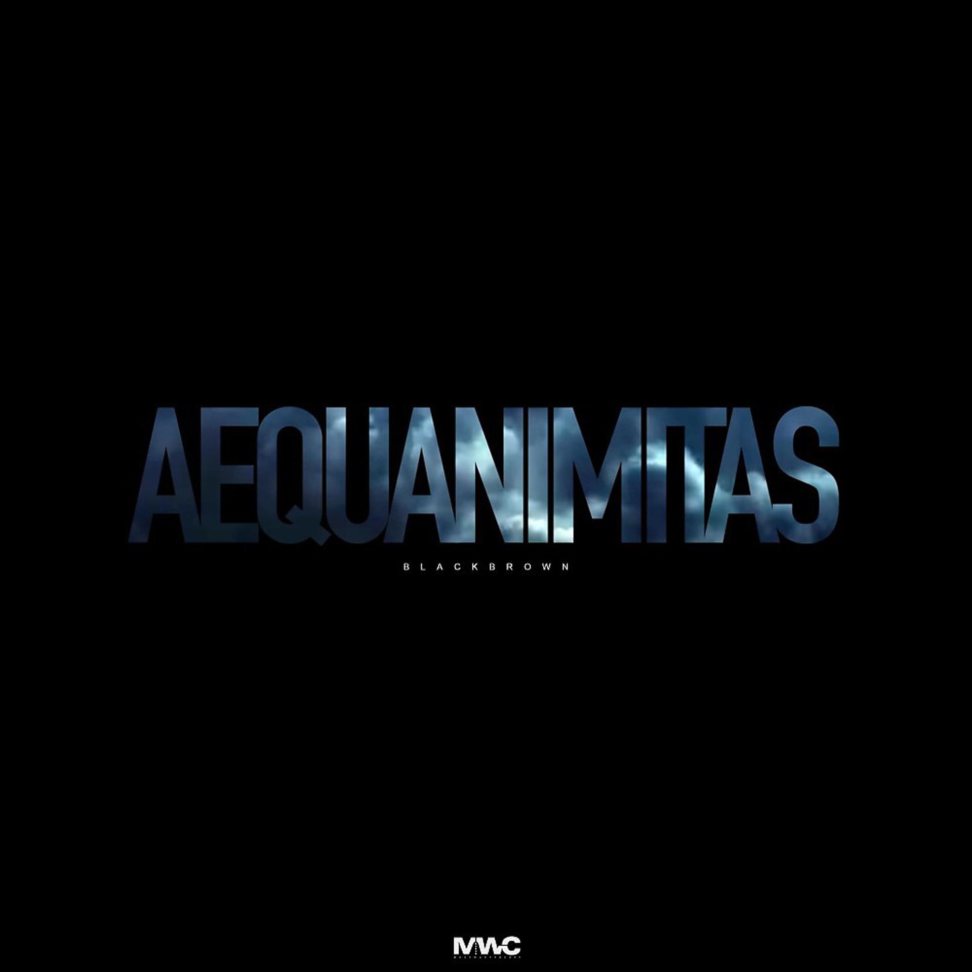 Постер альбома Aequanimitas