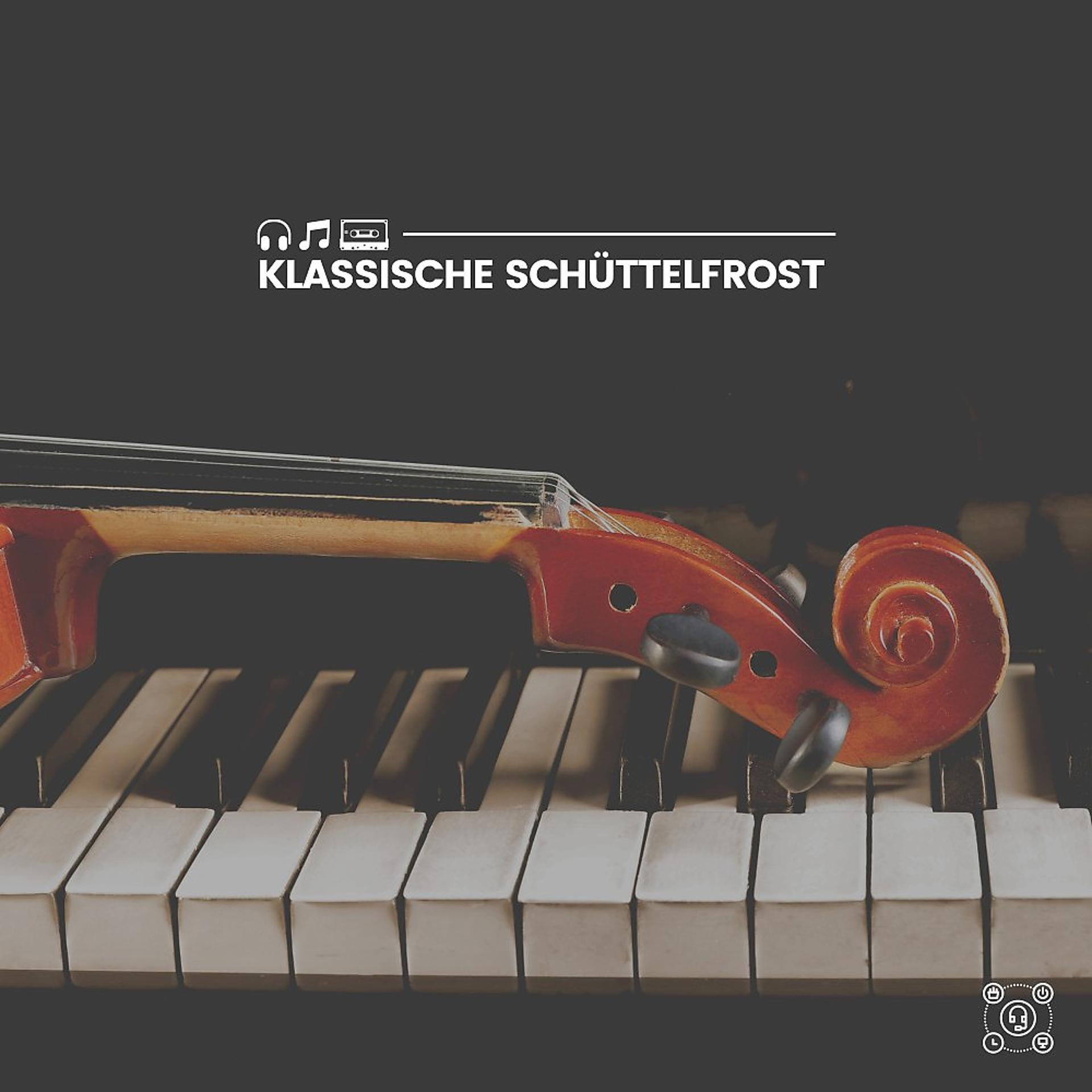 Постер альбома Klassische Schüttelfrost