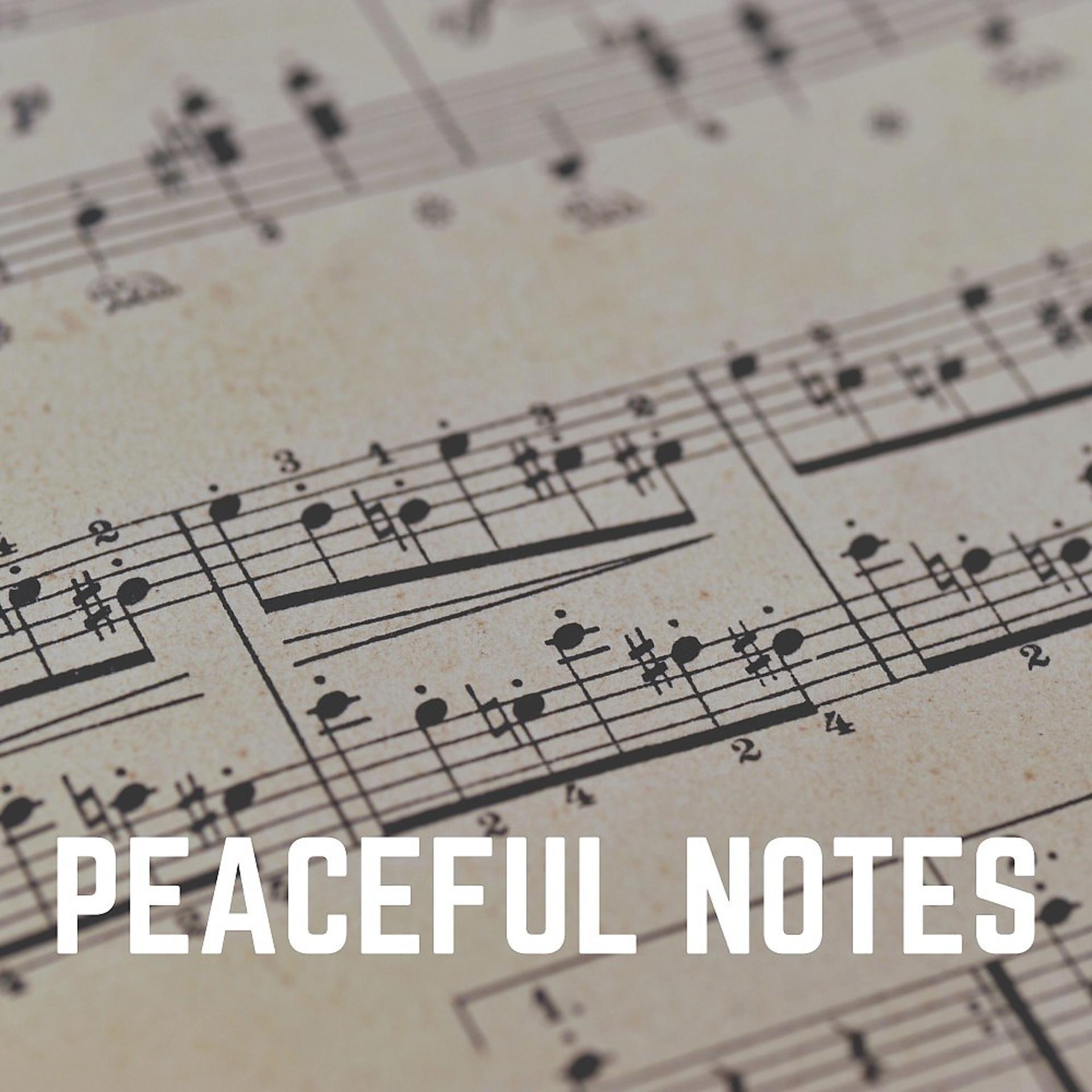 Постер альбома Peaceful Notes