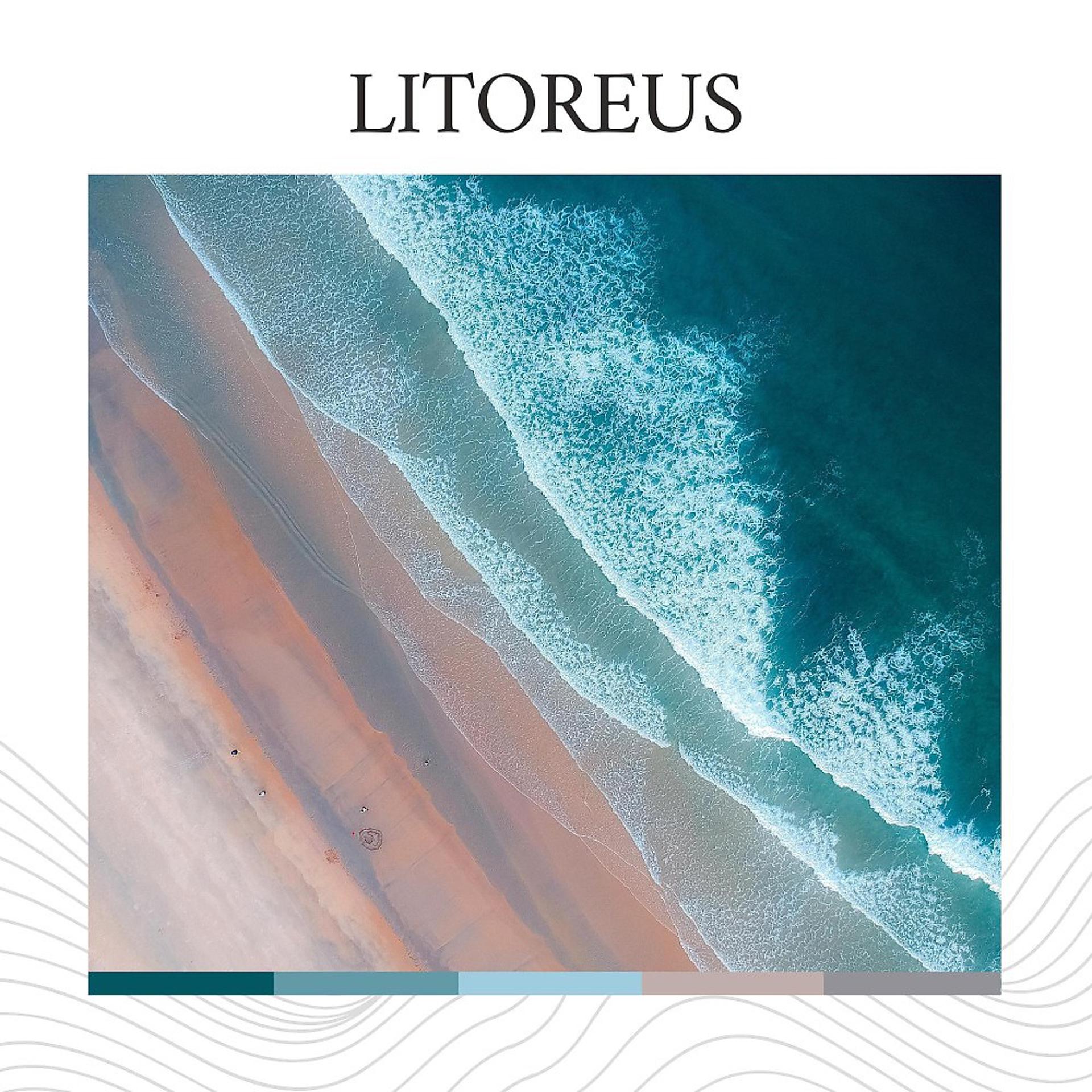 Постер альбома Litoreus