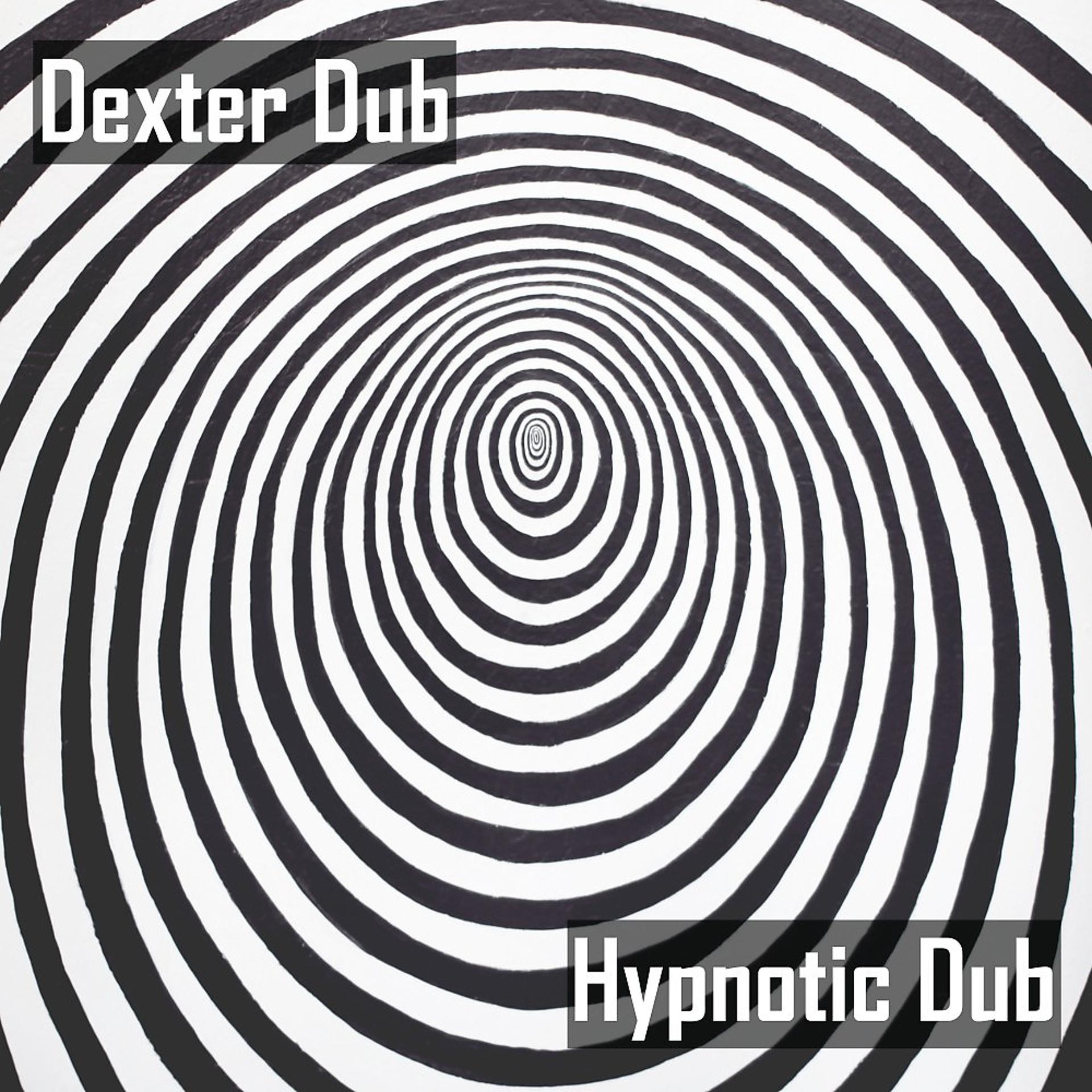 Постер альбома Hypnotic Dub