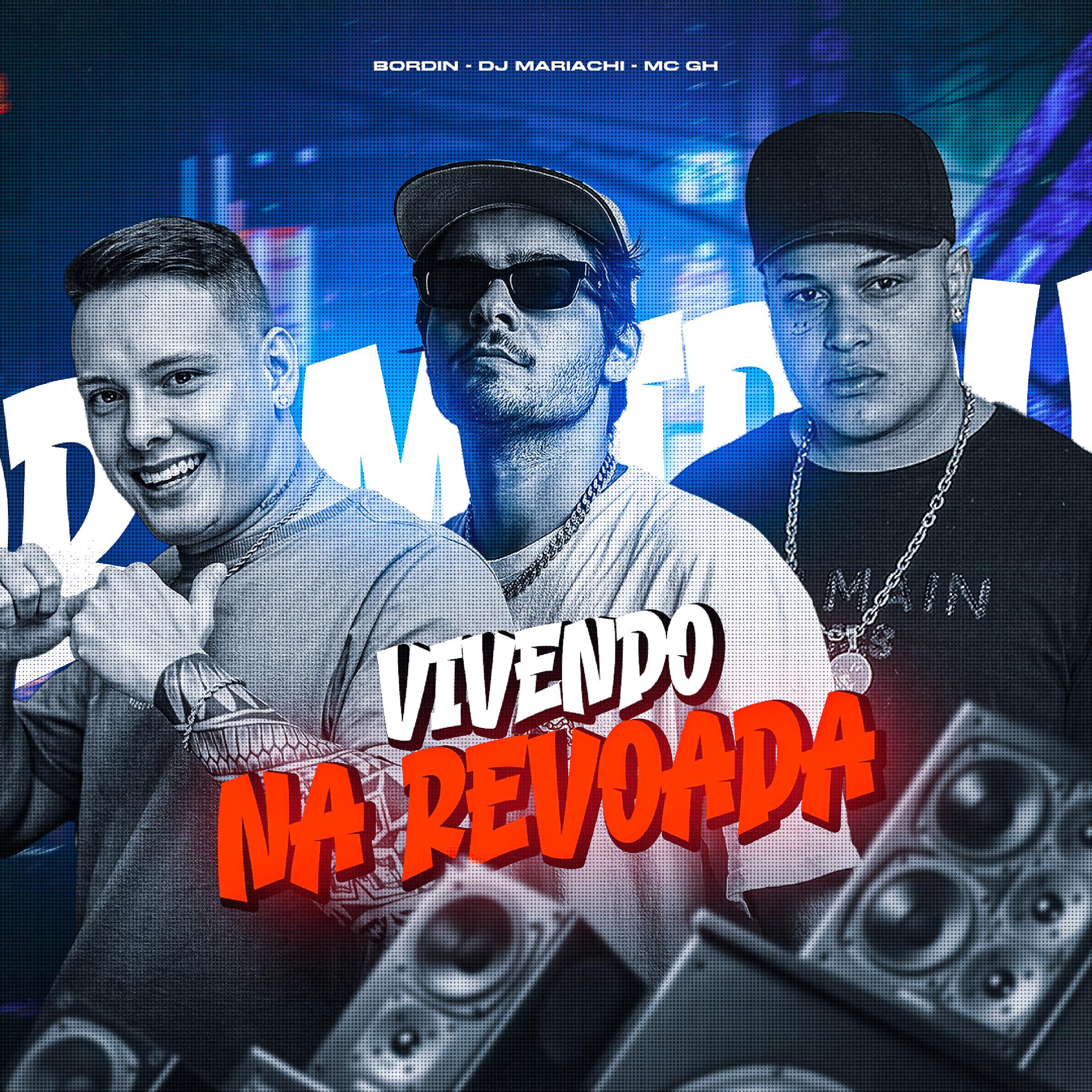 Постер альбома Vivendo na Revoada