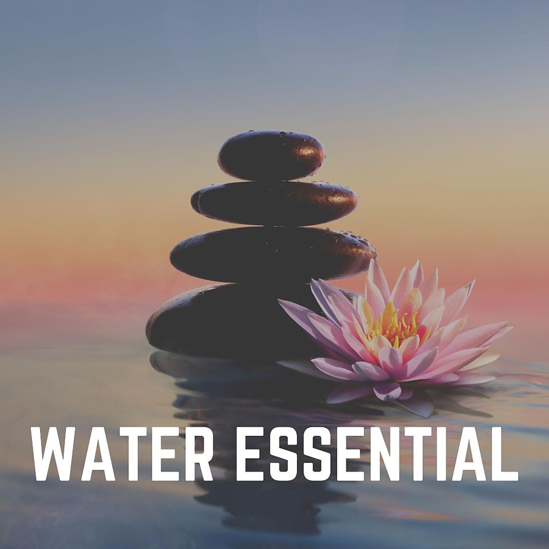 Постер альбома Water Essential