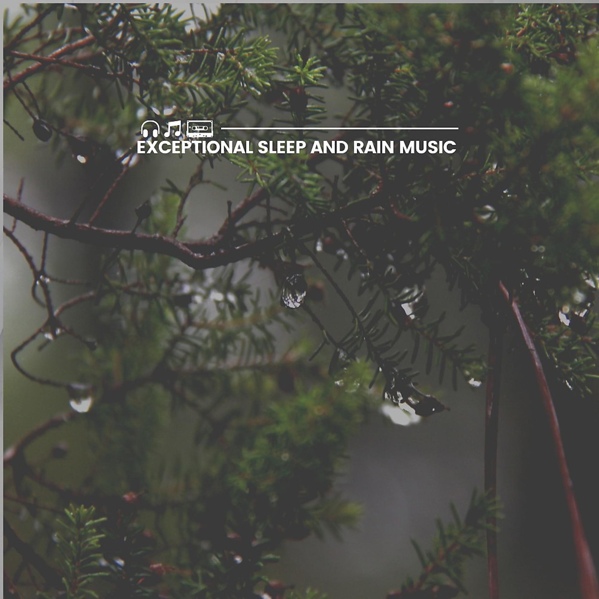 Постер альбома Exceptional Sleep and Rain Music
