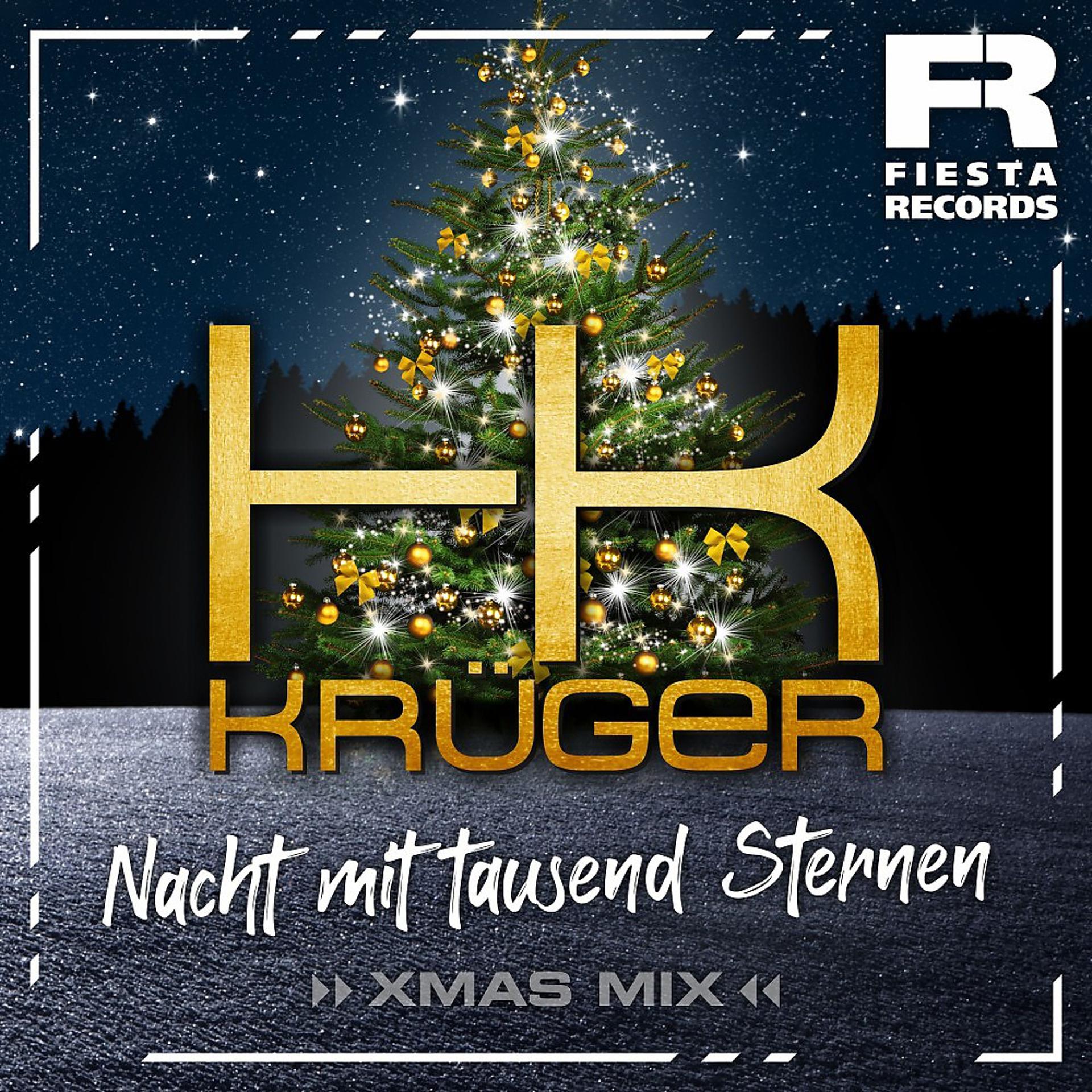 Постер альбома Nacht mit tausend Sternen (Xmas Mix)