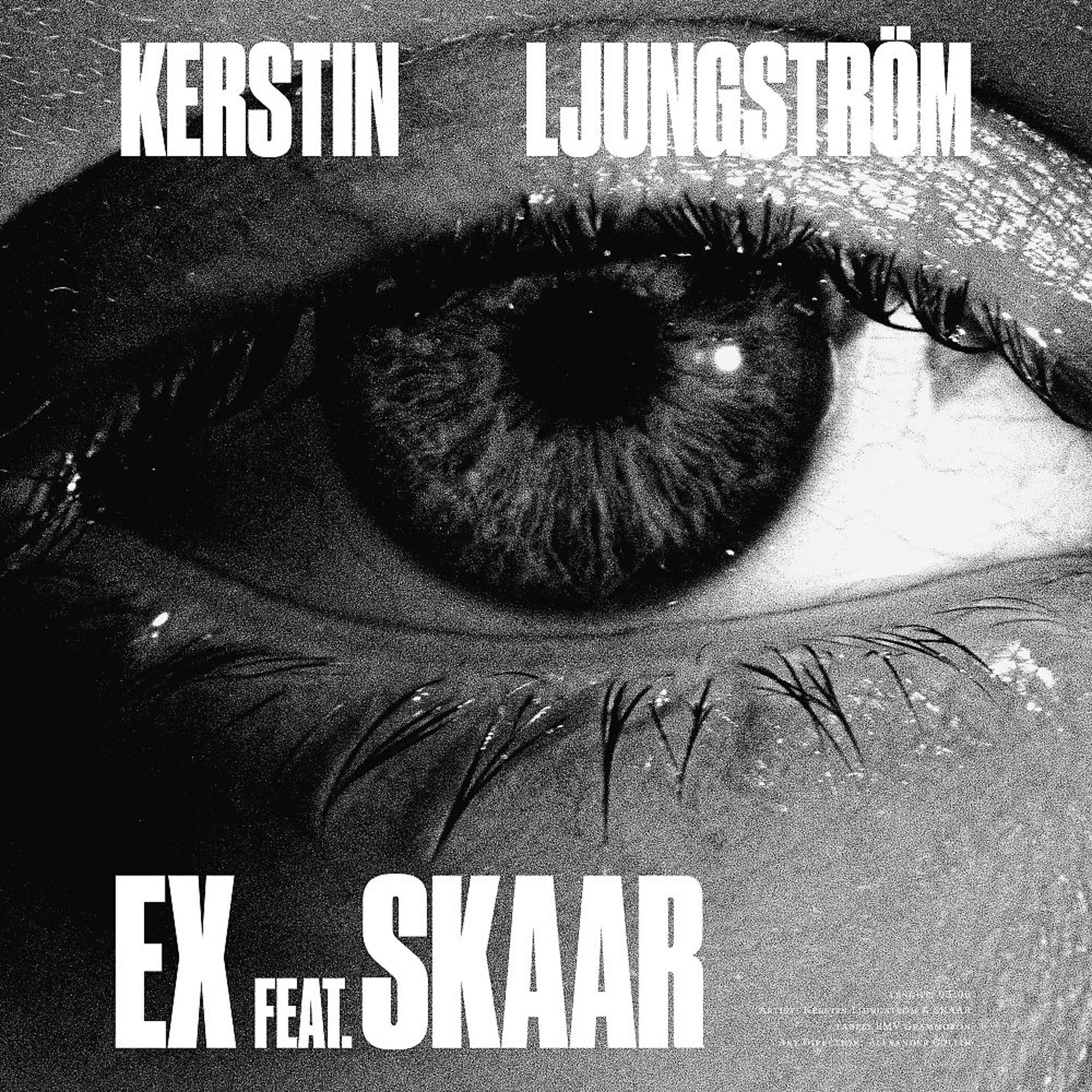 Постер альбома Ex (feat. SKAAR)