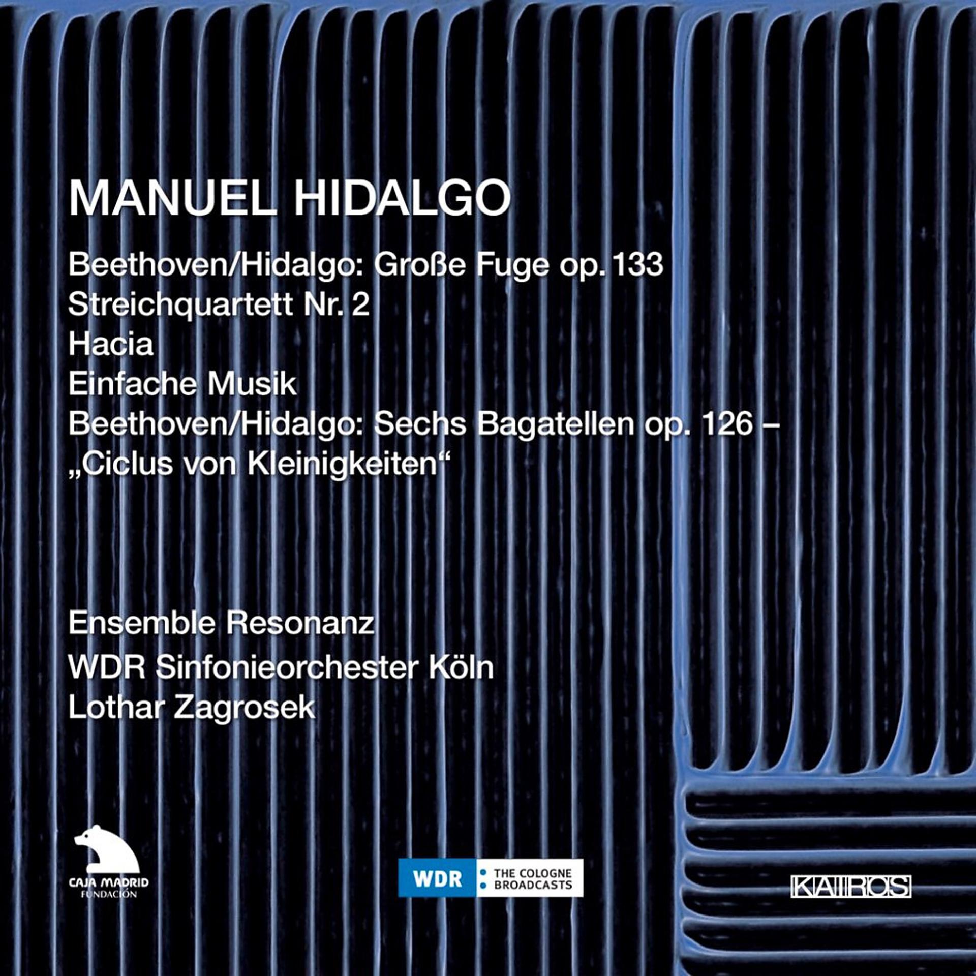 Постер альбома Manuel Hidalgo: Beethoven