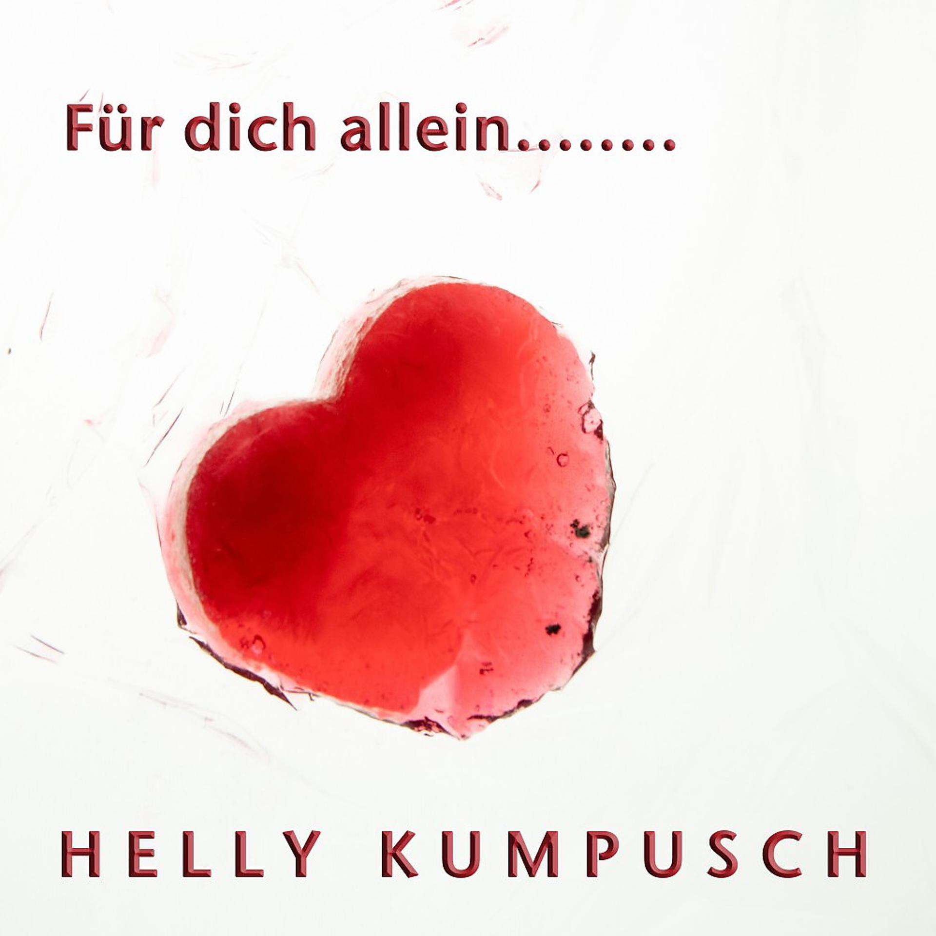 Постер альбома Für dich allein